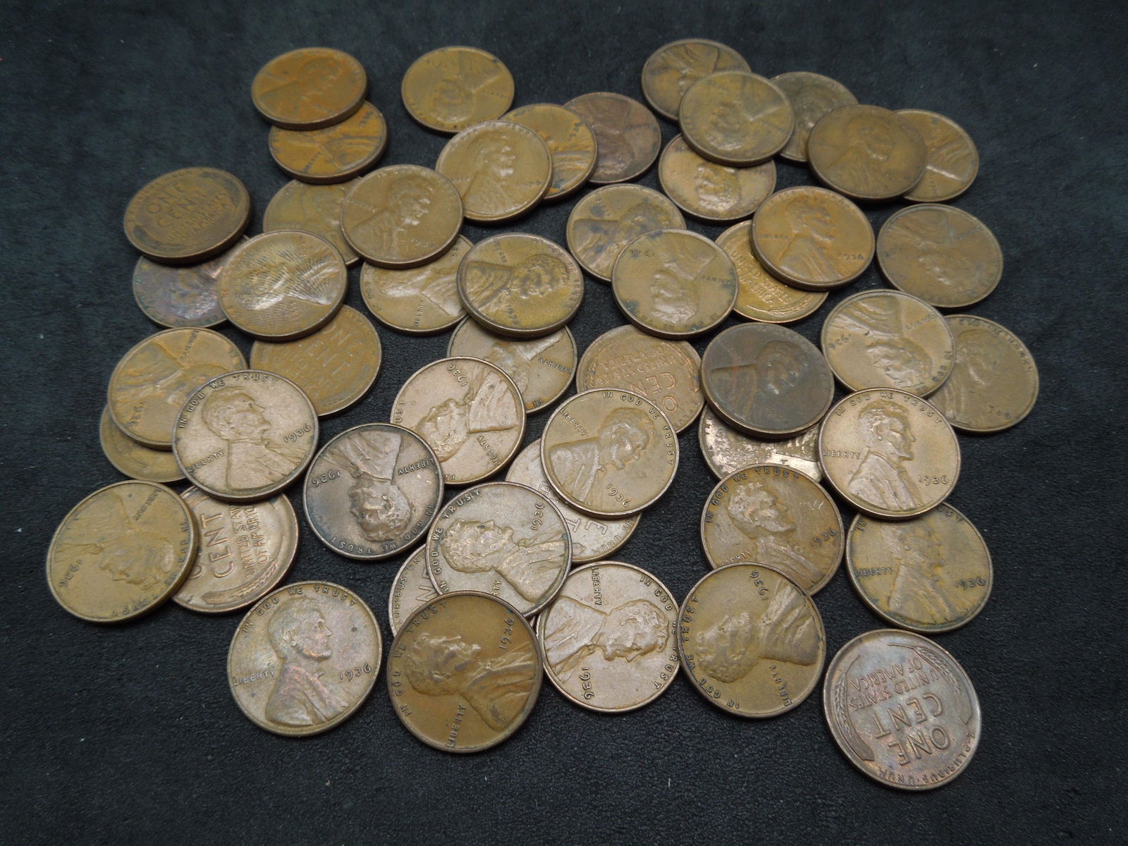 Lot of 50 1936 Lincoln Wheat Cents. (1 of 3)