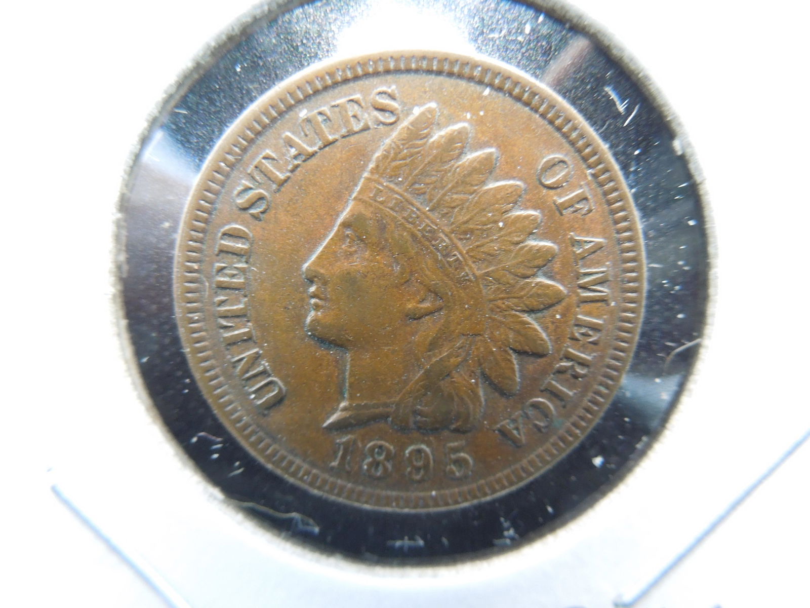 1895 Indian 1c.  XF+.  Full Sharp Liberty. (1 of 3)