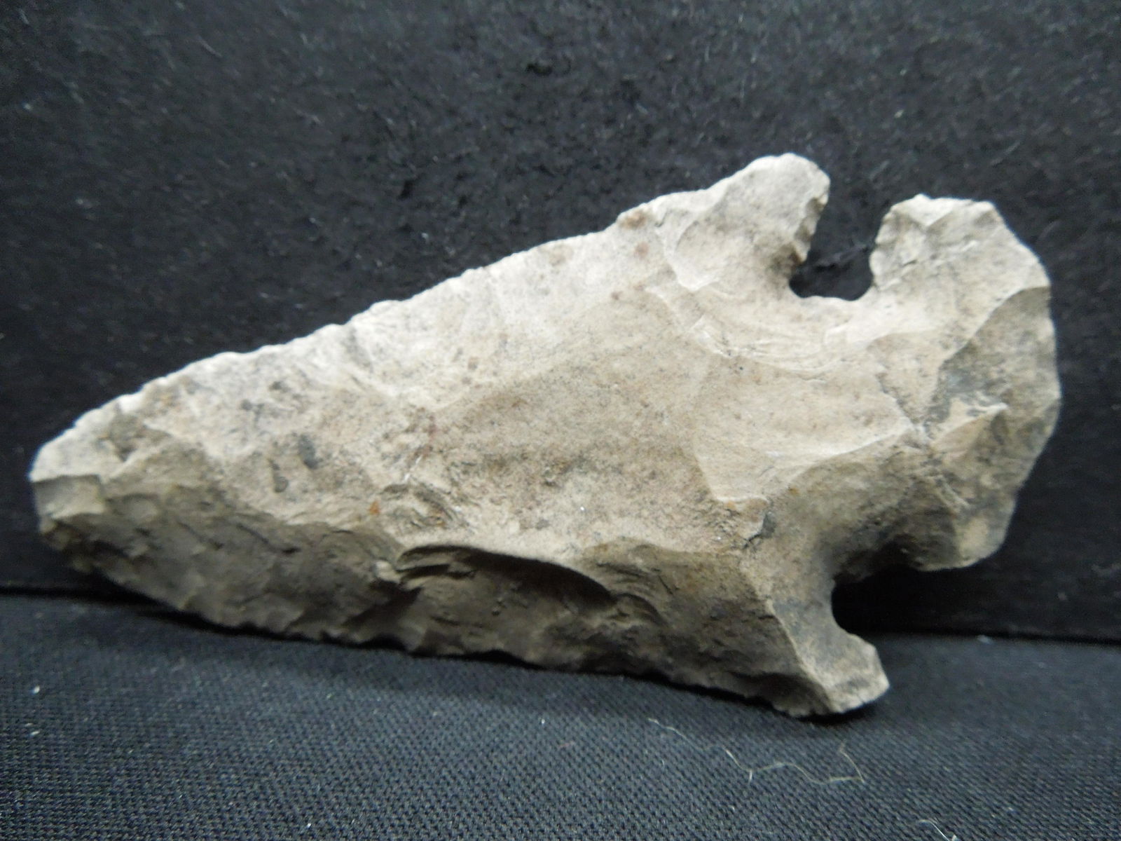 3-inch Early Archaic point. Grey.  9000 + years old. (1 of 3)