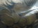 (1000) Wheat Cent s in A Bag Steel Cents and Earlier - 3