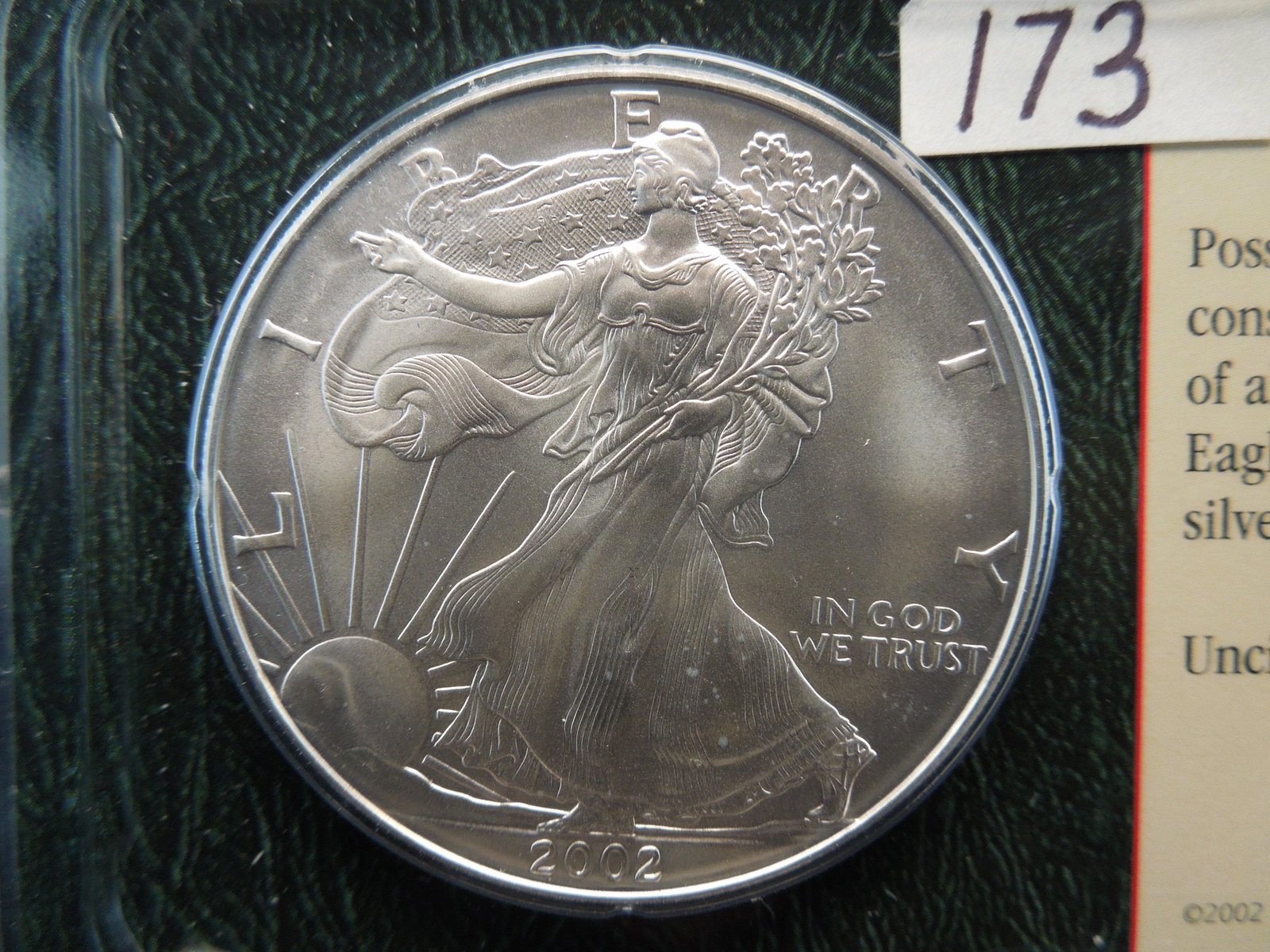 2002 American Silver Eagle In Littleton Informational (1 of 4)