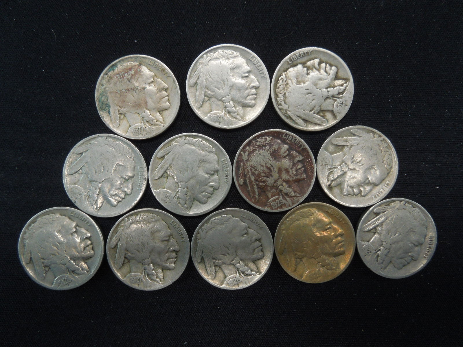 12 1920's Buffalo Nickels With Dates (1 of 2)