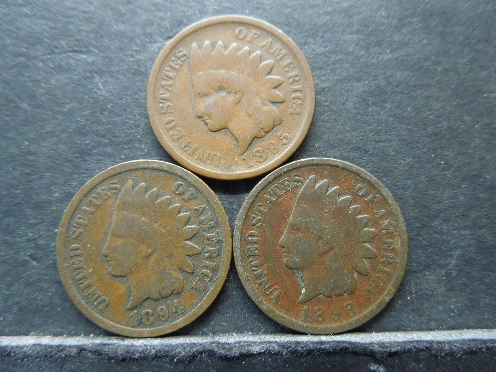 1893 1894 1895 Indian Head Cents. (1 of 2)
