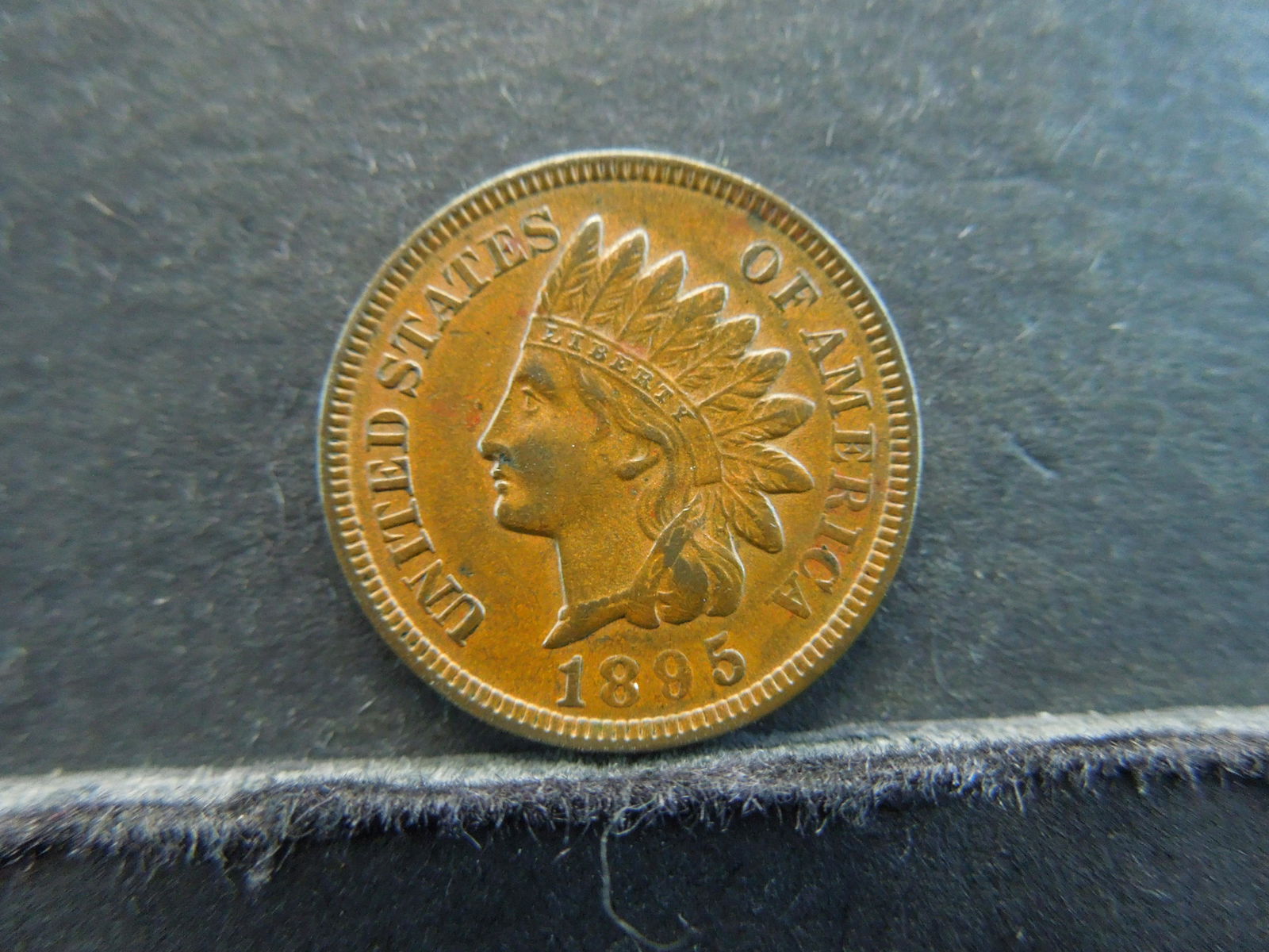 1895 Brown Choice Uncirculated Indian Cent (1 of 2)