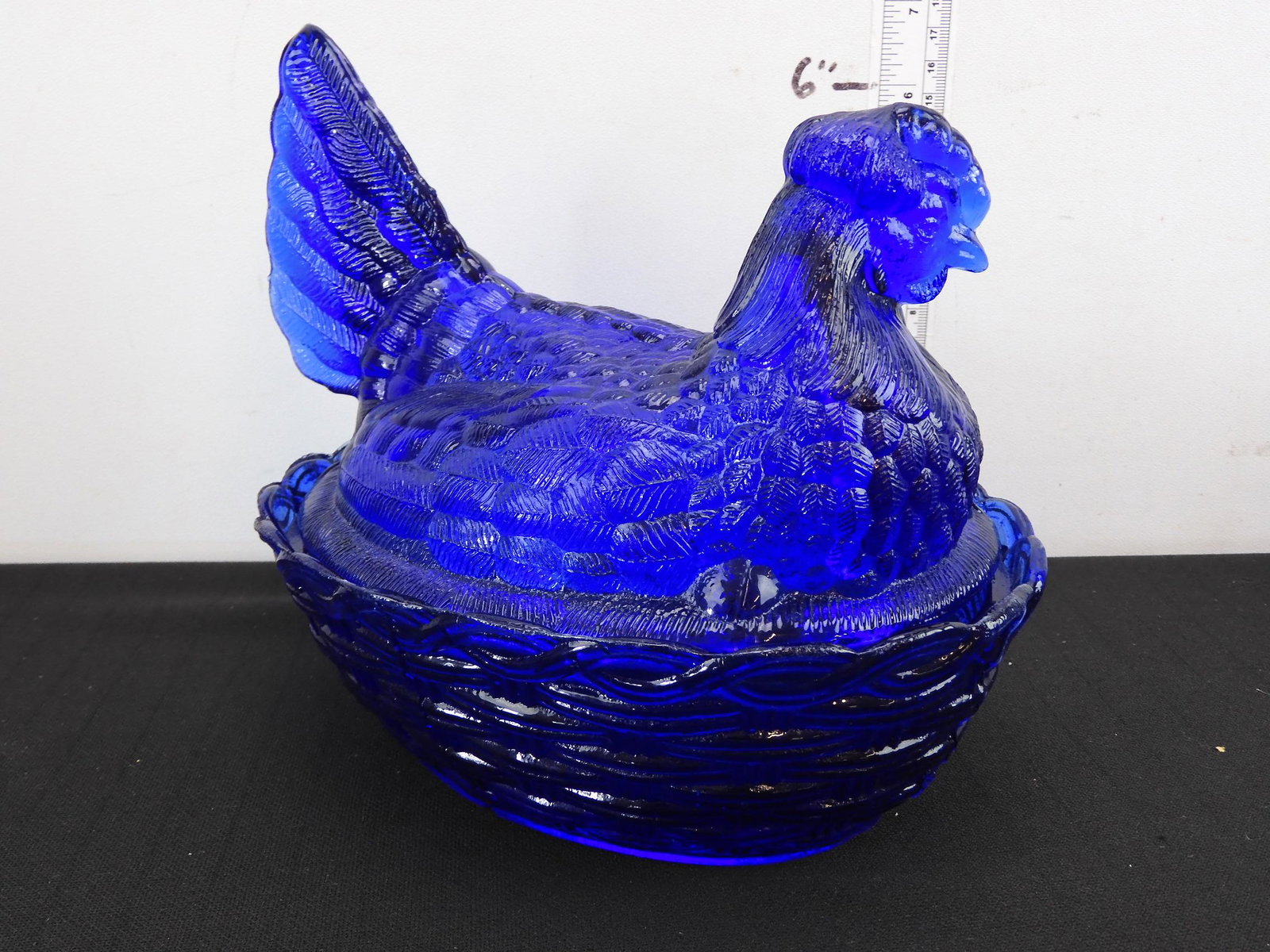 Cobalt Blue Hen on Nest: Cobalt Blue Hen on Nest