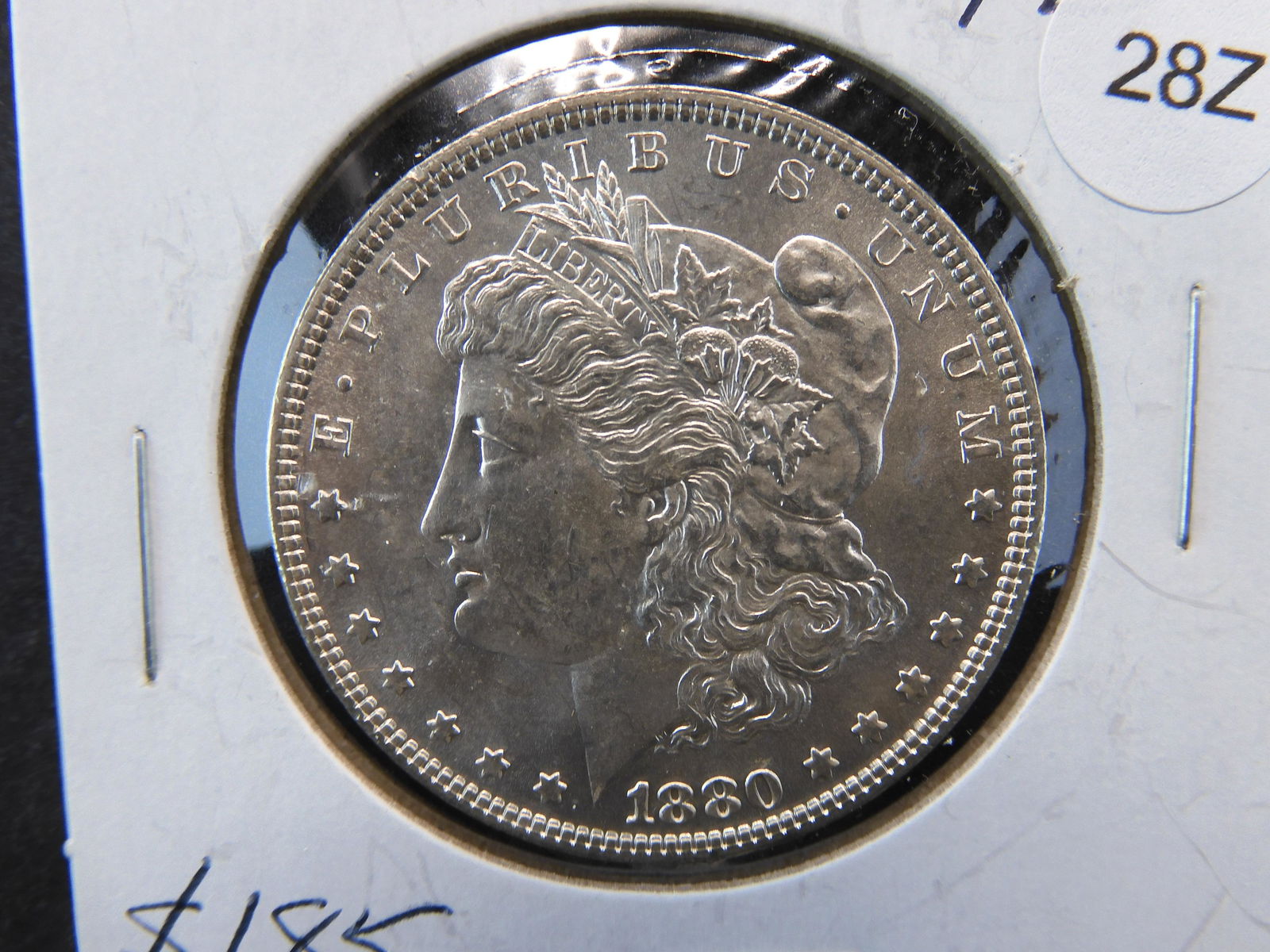 1880  Morgan Dollar (1 of 3)