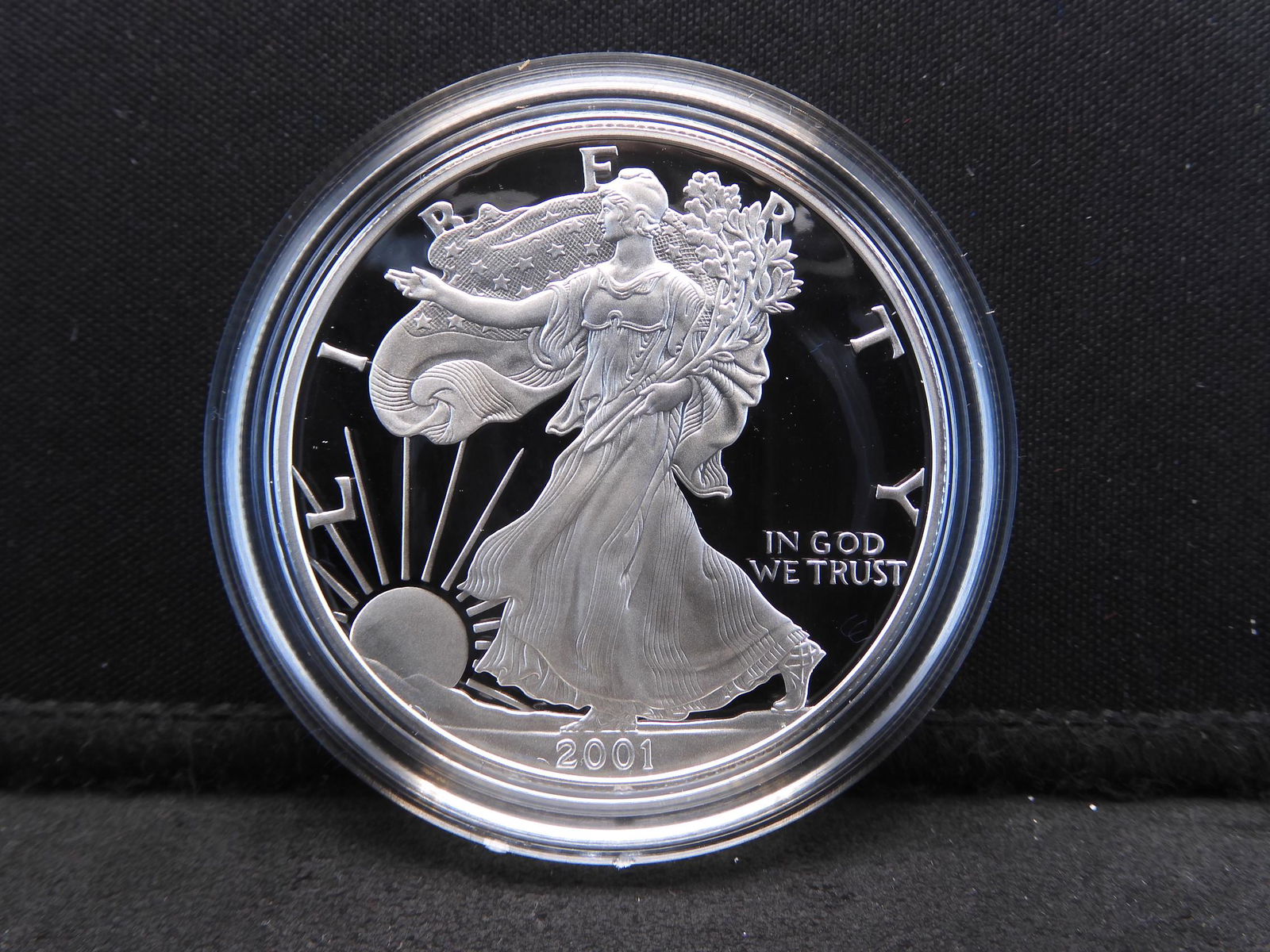 2001 W Proof, American Silver Eagle .999 Fine Silver, 1 (1 of 4)