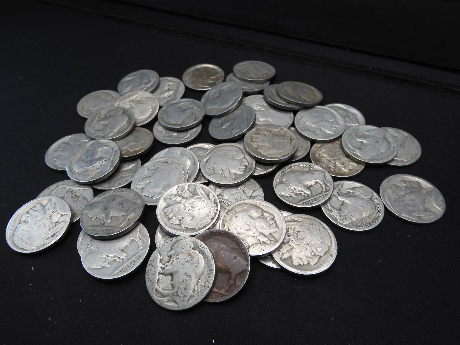 Forty Buffalo Nickels (1 of 4)