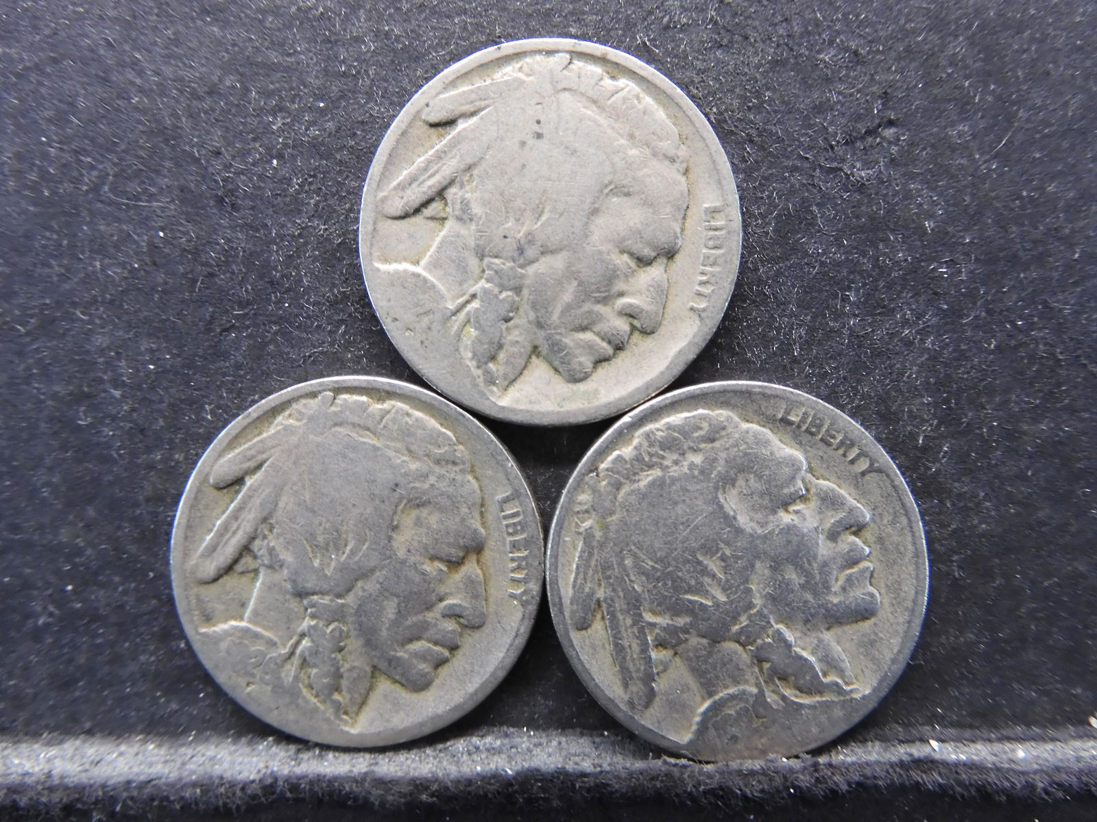 Three Buffalo Nickels 1926, 1929, No Date (1 of 2)