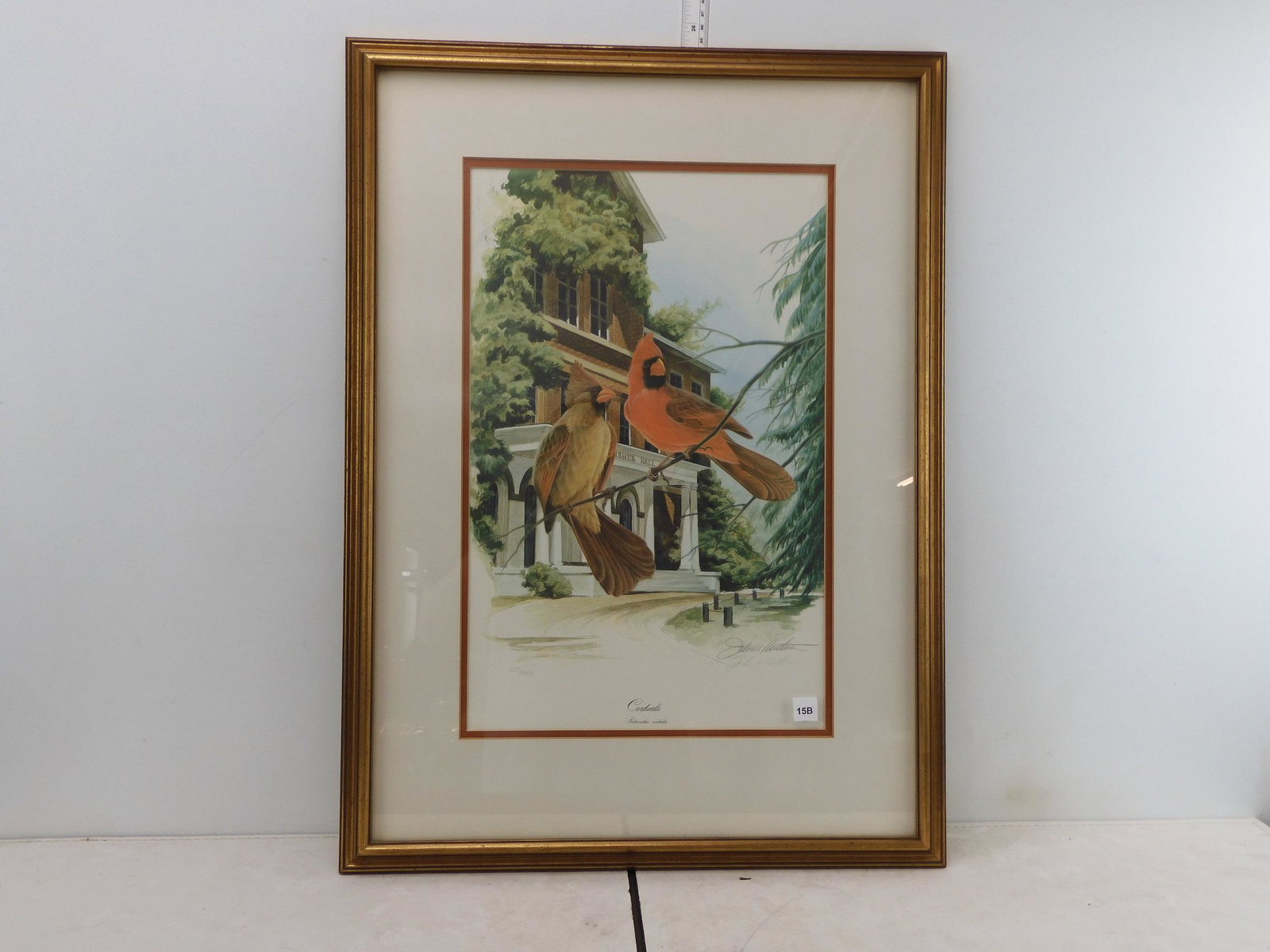 Cardinals Print, Richmondena cardinals, Signed By the: Cardinals Print, Richmondena cardinals, Signed By the Artist, John A. Ruthven, 325/1000