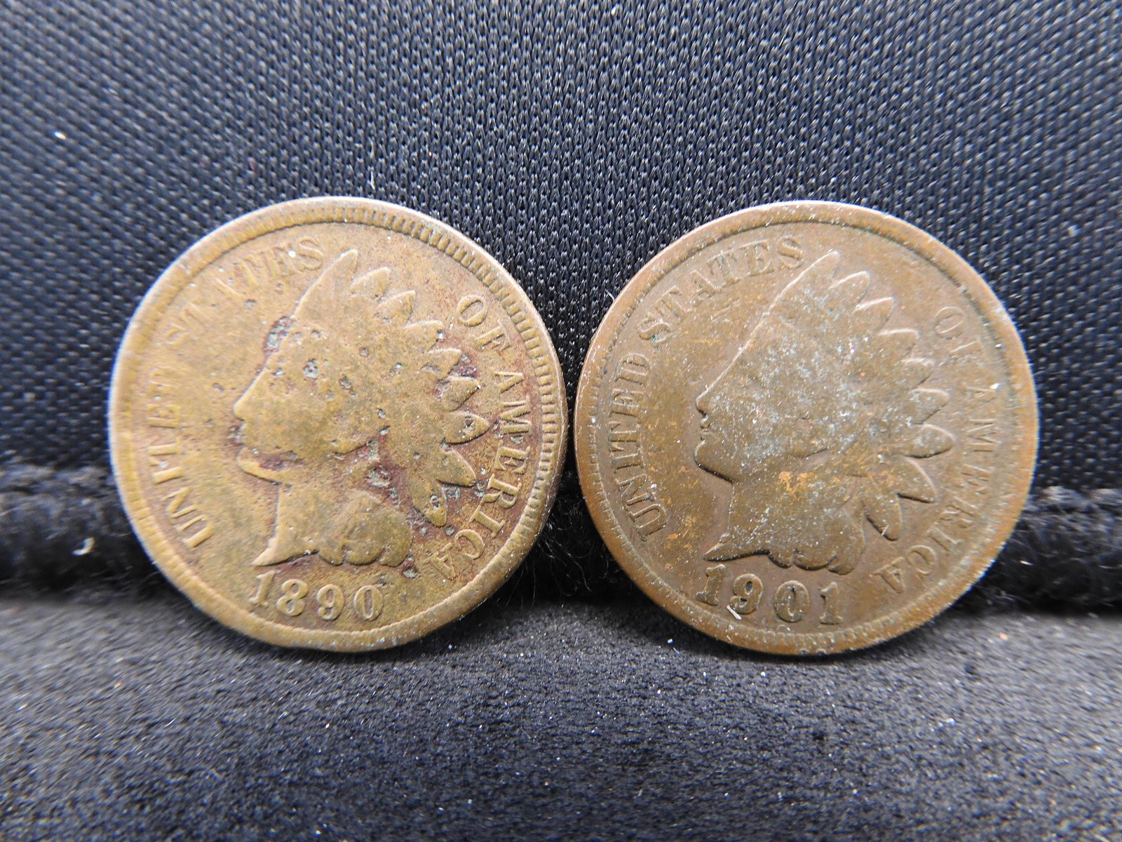 1890 & 1901 Indian Head Cents (1 of 2)