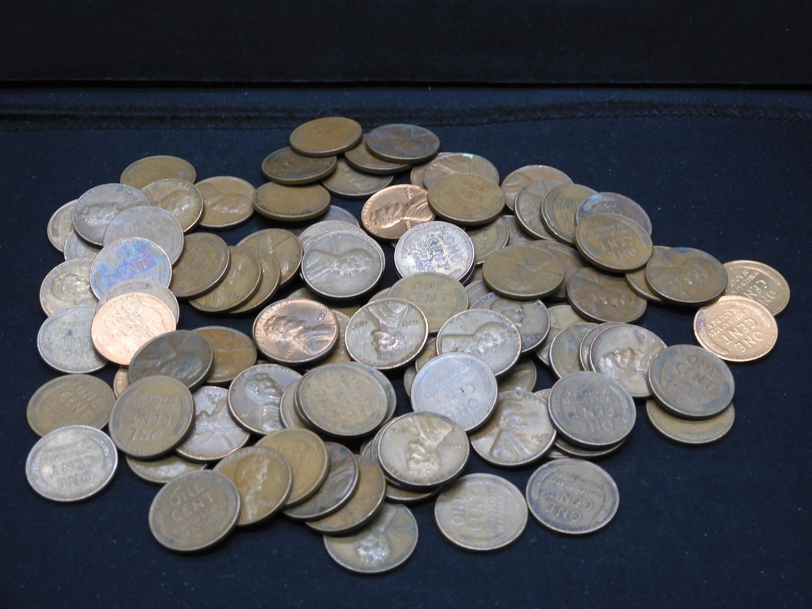 100 Wheat Cents (1 of 5)