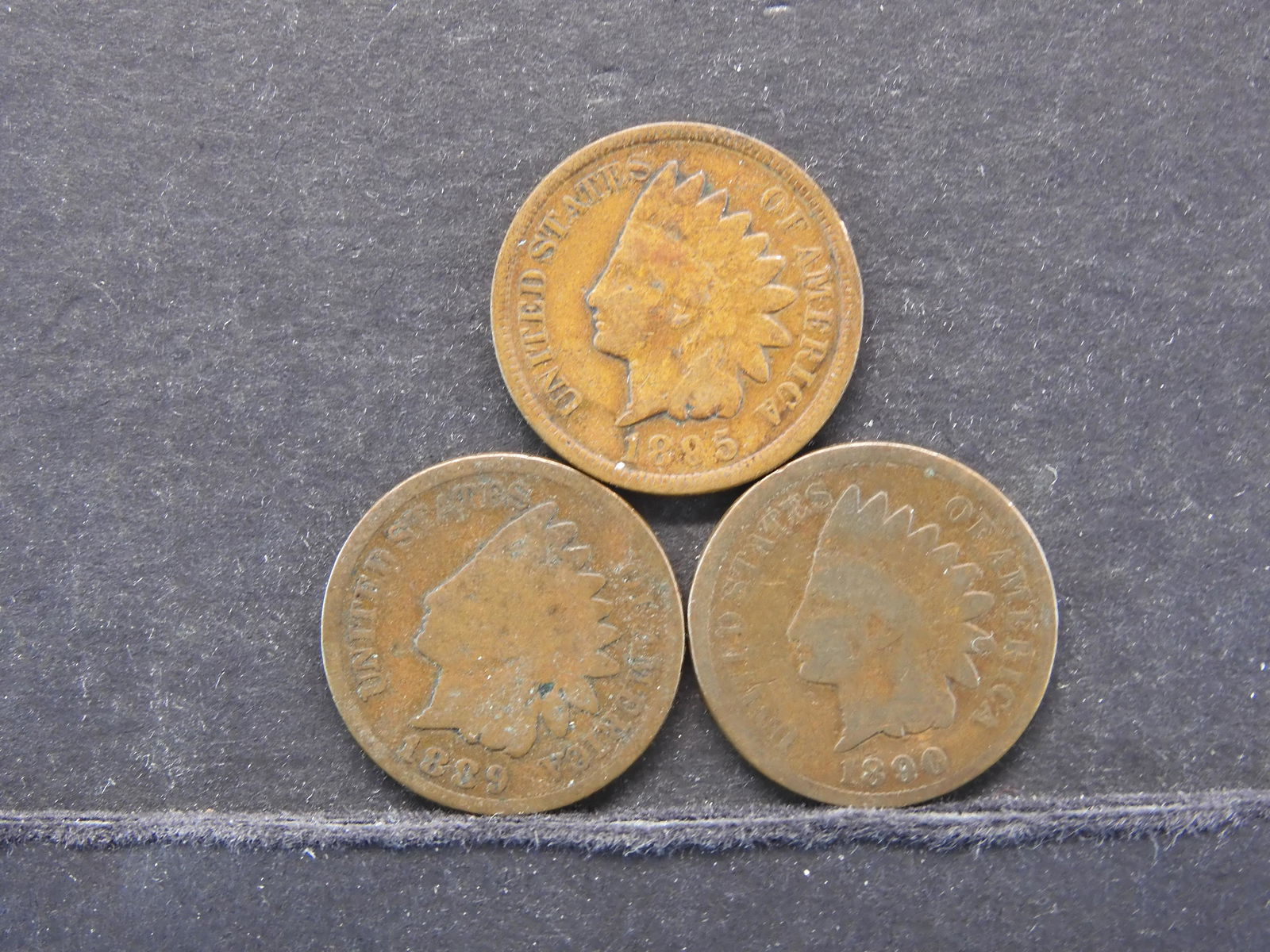 1889, 1890, 1895 Indian Head Cents (1 of 2)