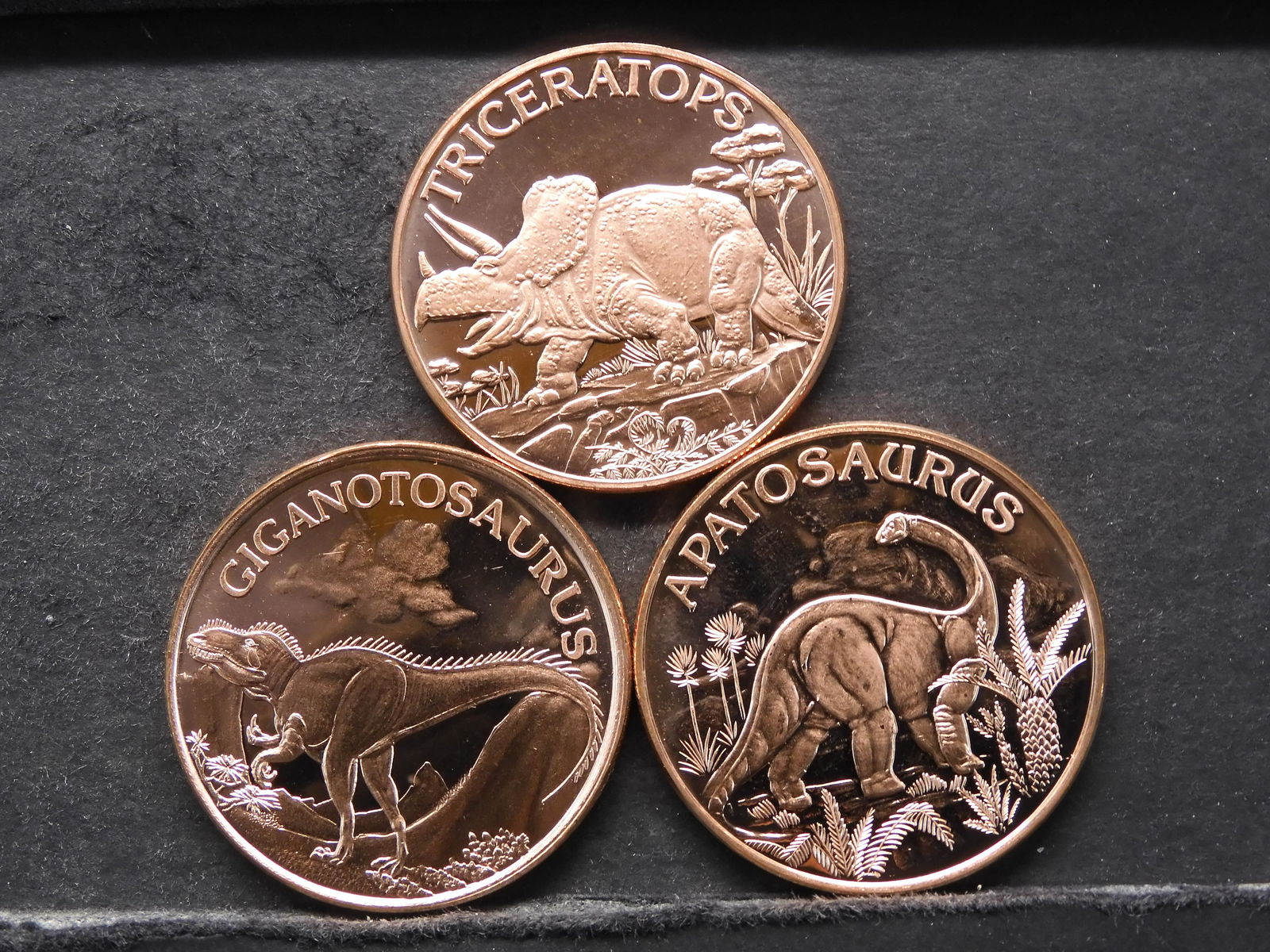 3 One Ounce .999 Fine Copper Rounds (Ganotosaurus, (1 of 2)