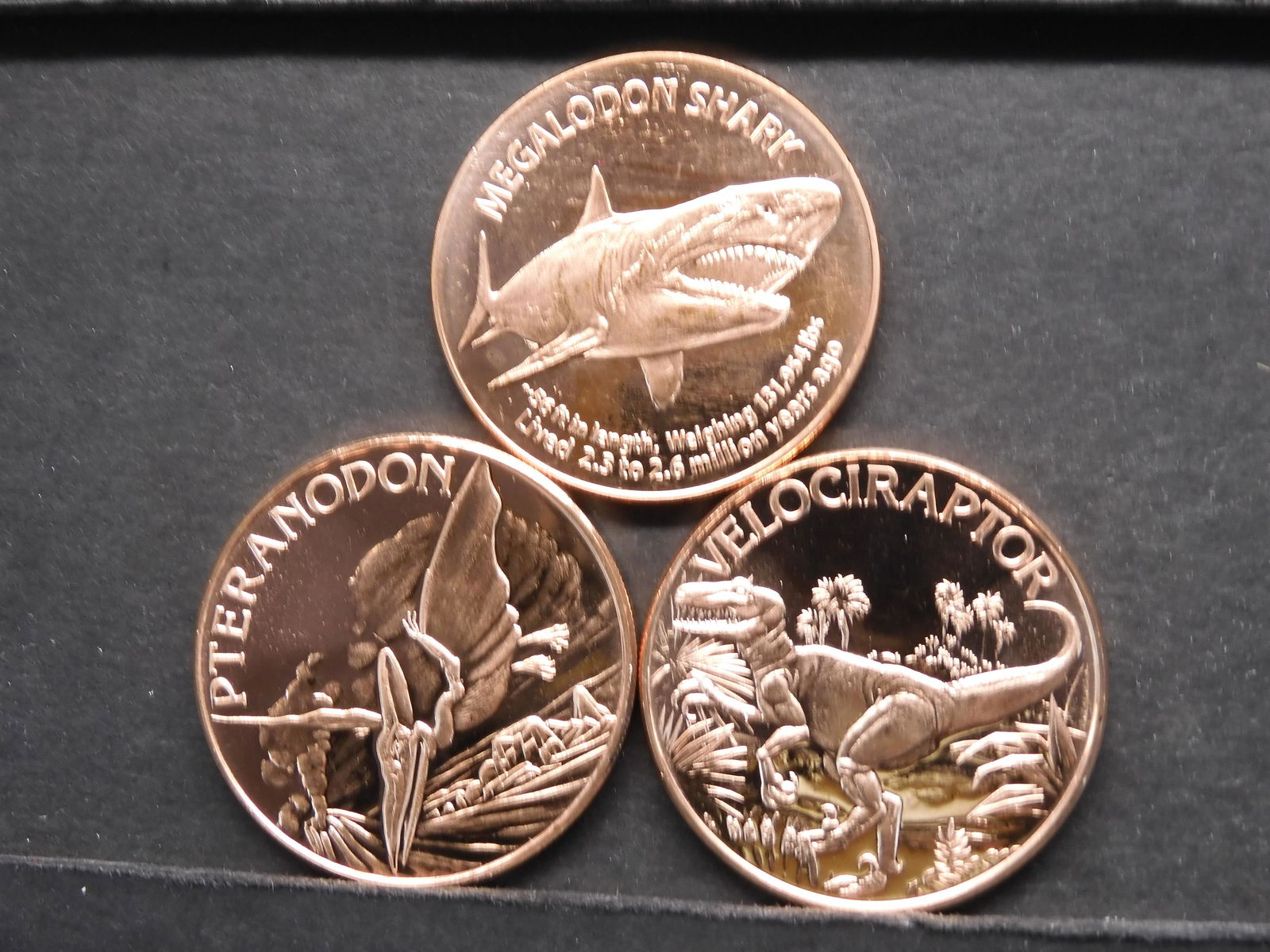 3 One Ounce .999 Fine Copper Rounds ( Pelociraptor, (1 of 2)