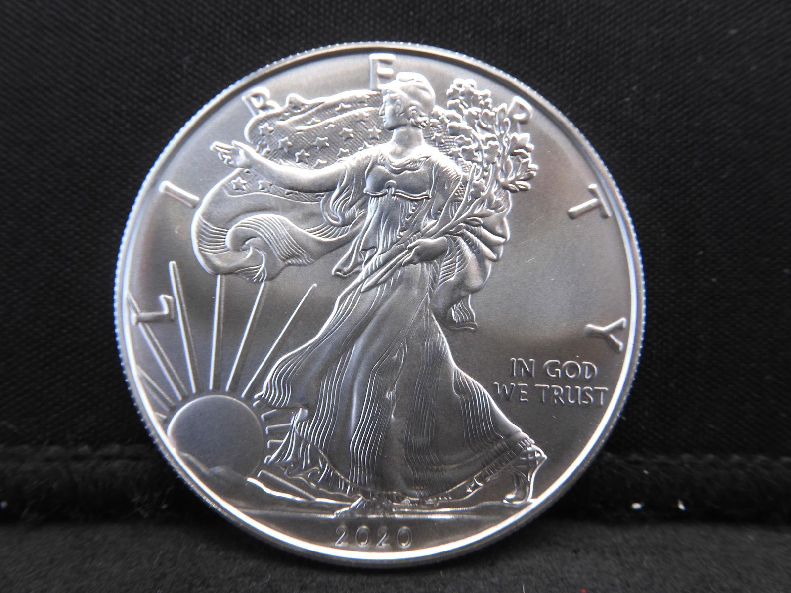 2020 American Silver Eagle One Troy Ounce .999 Fine (1 of 2)