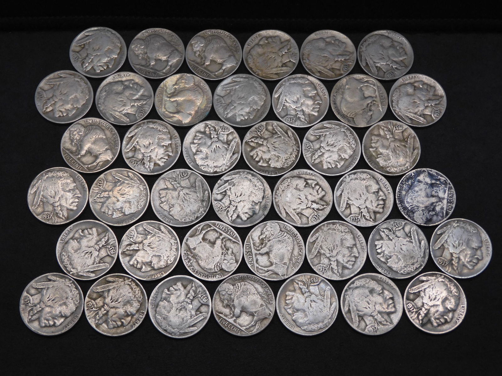 Roll of 40 1937-D Buffalo Nickels.  All Full Dates. (1 of 3)