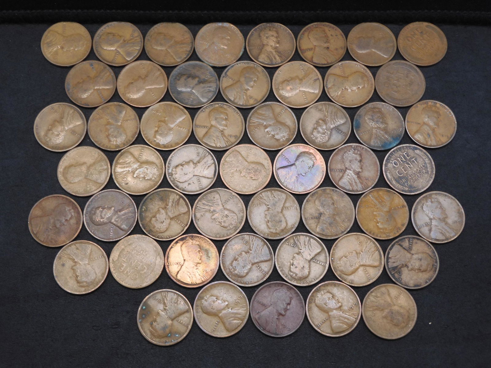 50 - 1919 Lincoln Wheat Cents. (1 of 3)