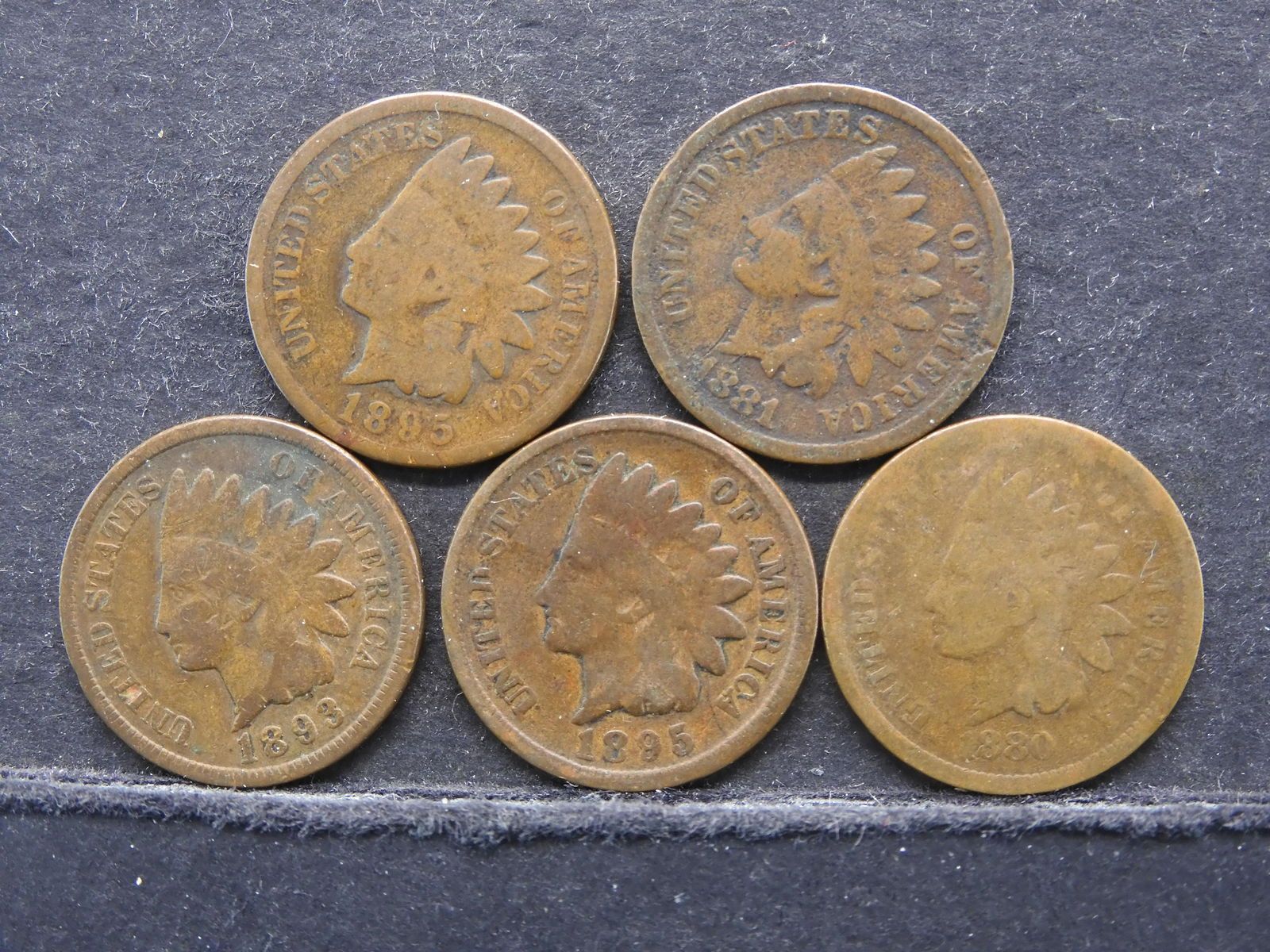5 - Indian Head Cents (1 of 2)