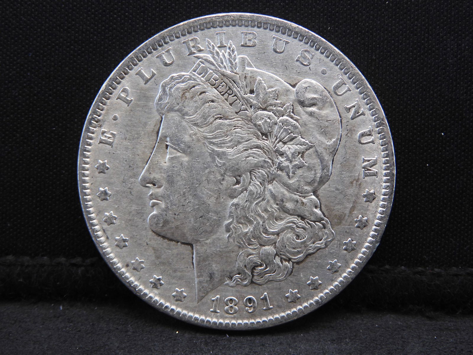 1891 Morgan Dollar (1 of 2)