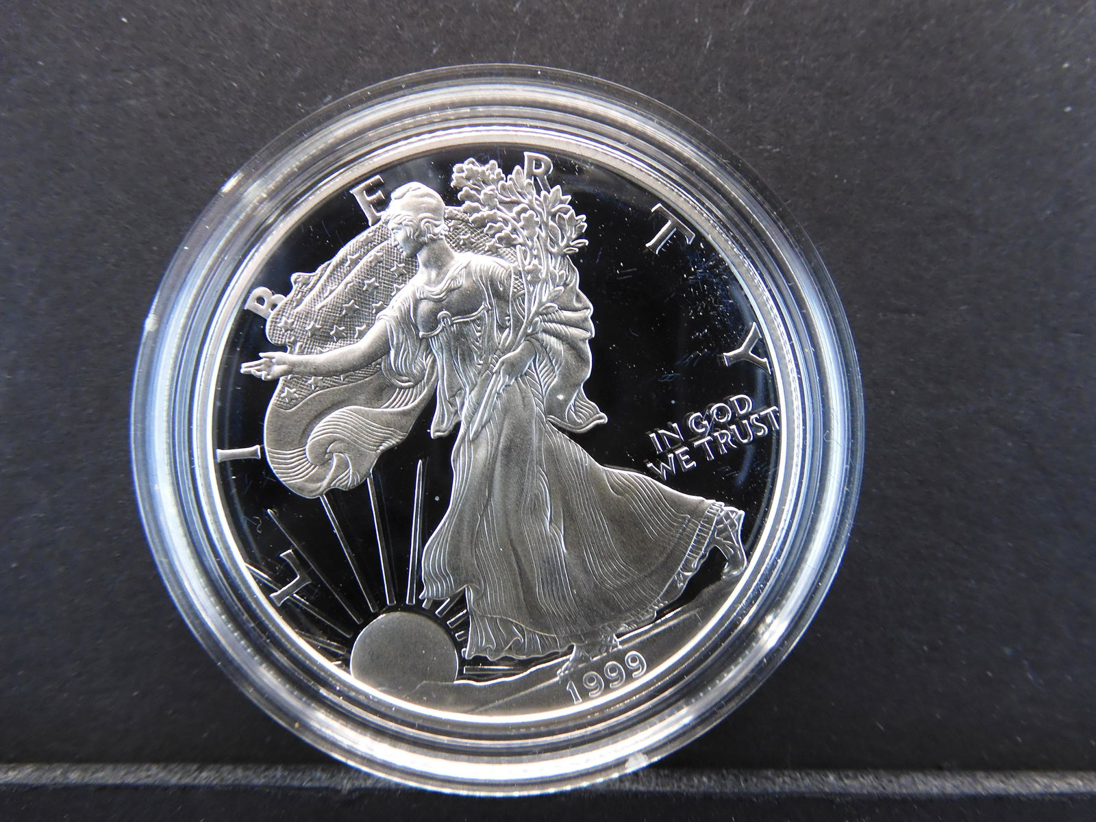 1999 Silver Proof American Eagle (1 of 4)