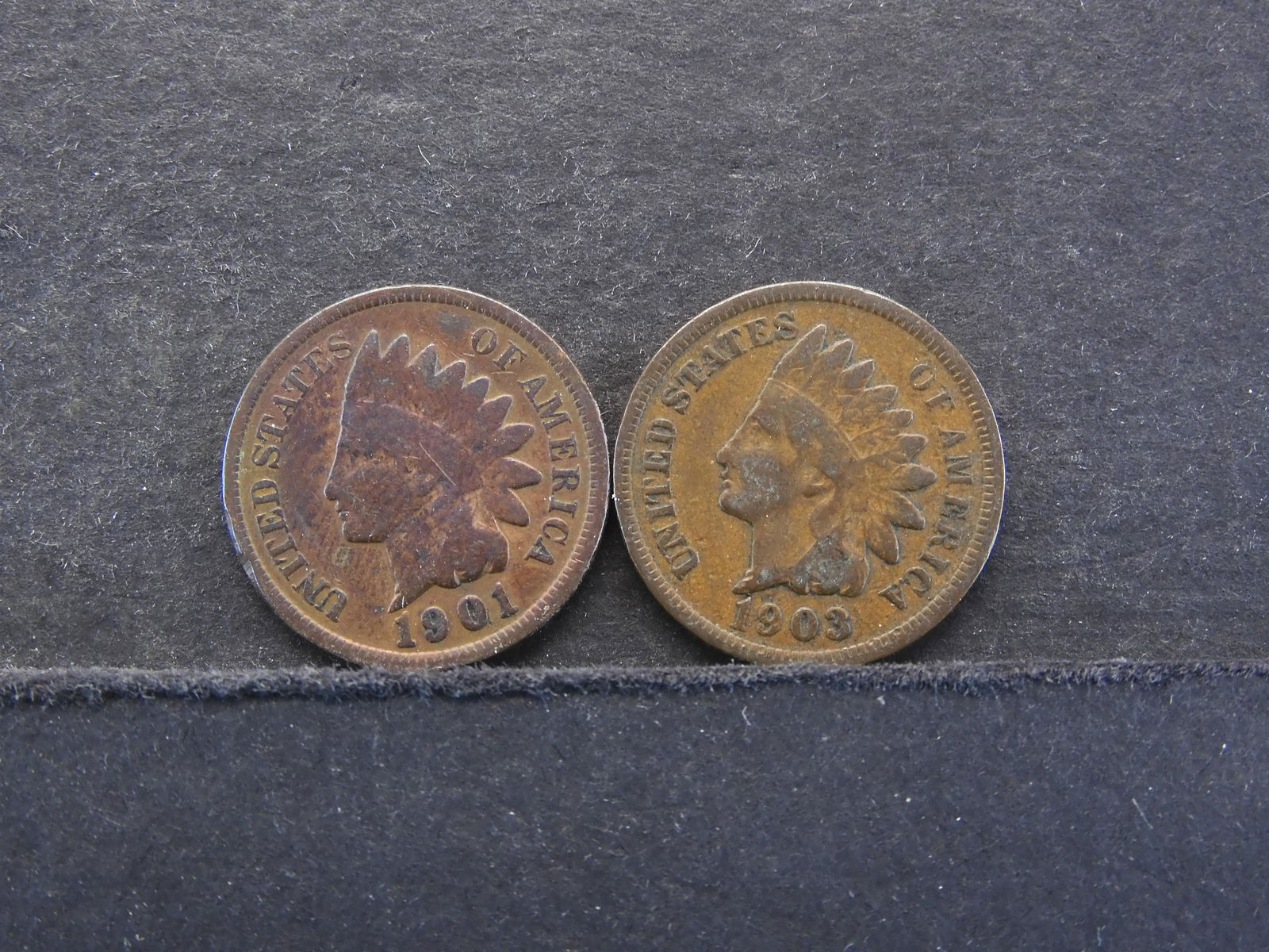 1901 & 1903 Indian Head Cents (1 of 2)