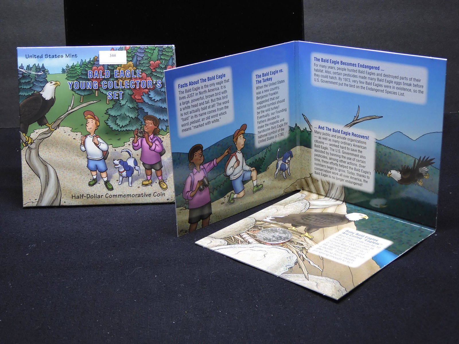 Bald Eagle Young Collector's Set in Beautiful, Colorful (1 of 4)