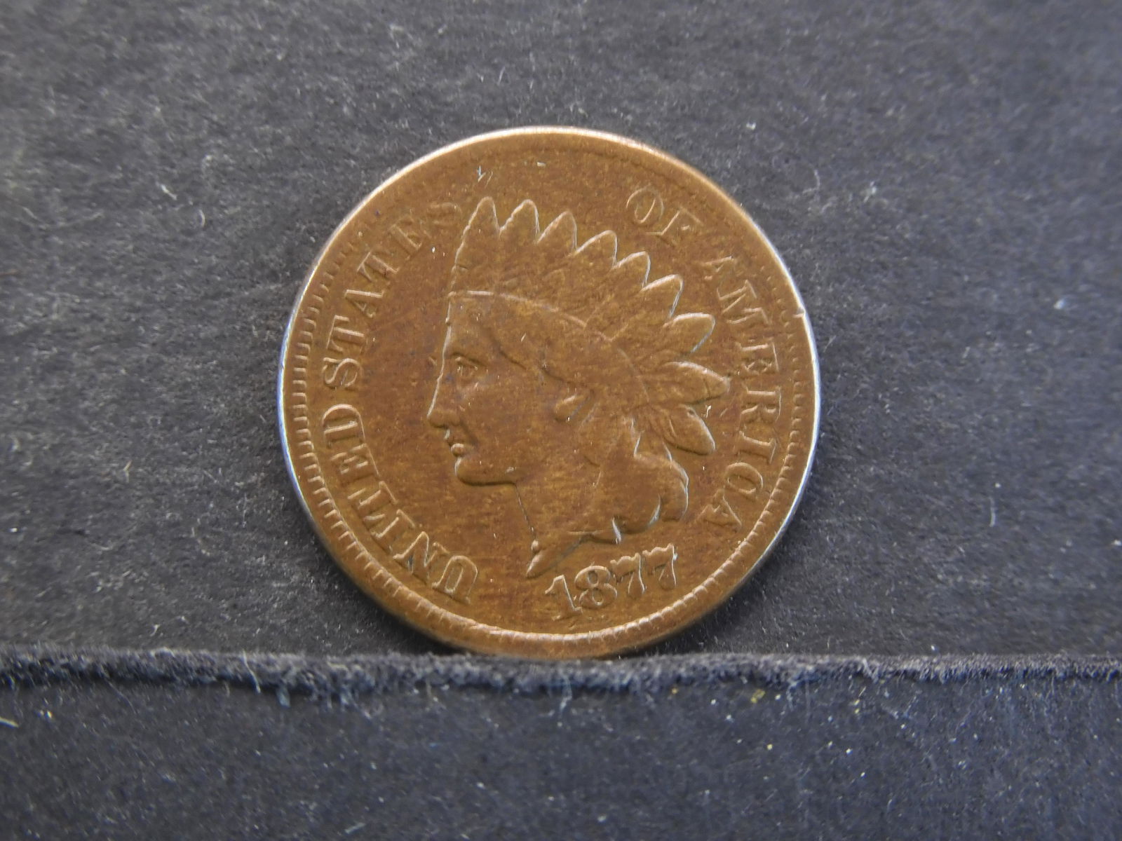 1877 Indian Head Cent THE CHEIF OF INDIANS! (1 of 2)