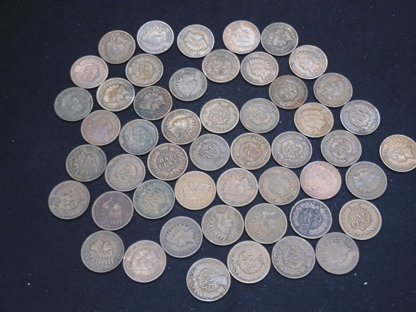 50 Indian Head Cents - 1800's & 1900's - Nice Set of (1 of 7)