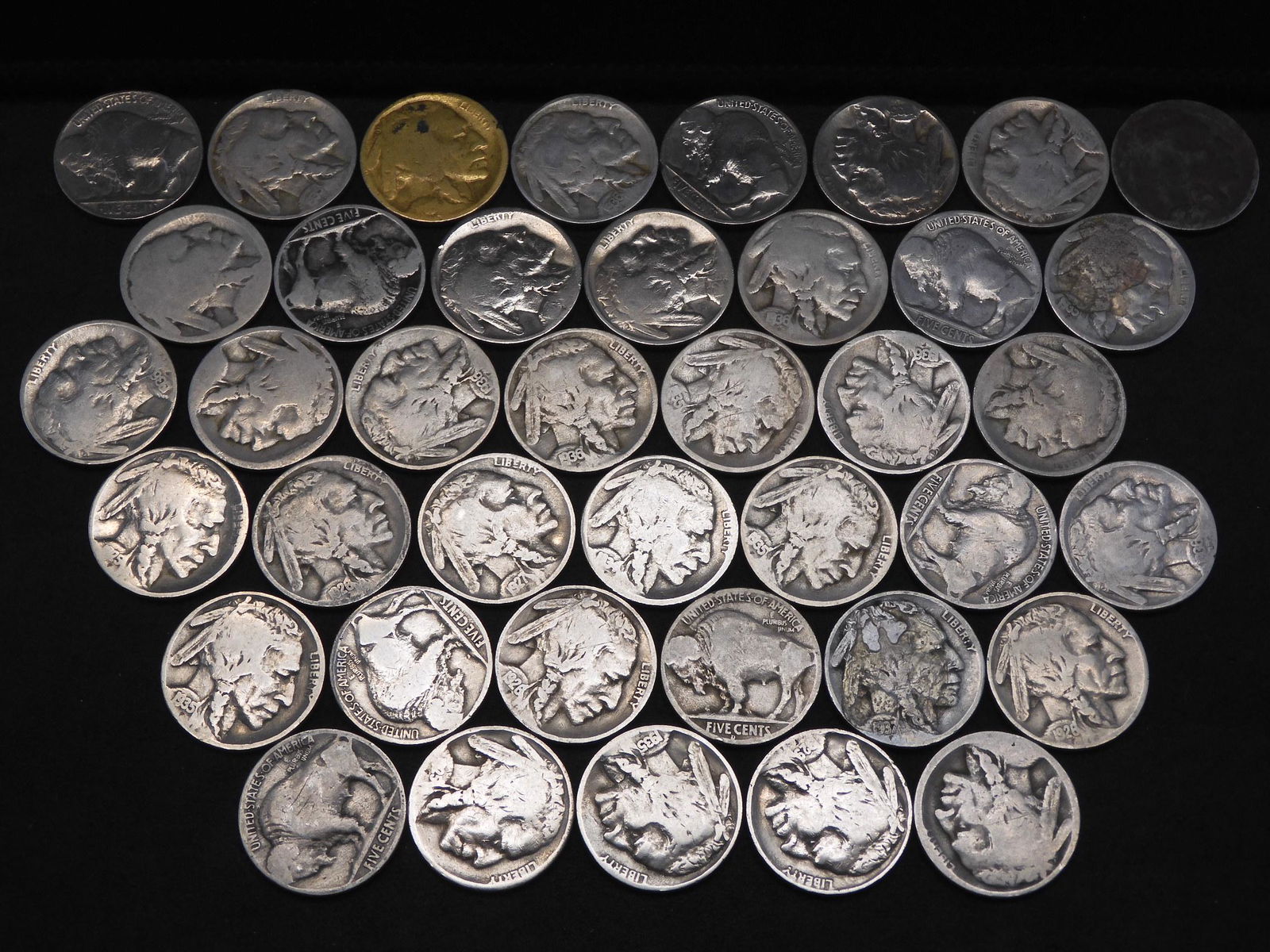 40 Buffalo Nickels. (1 of 3)