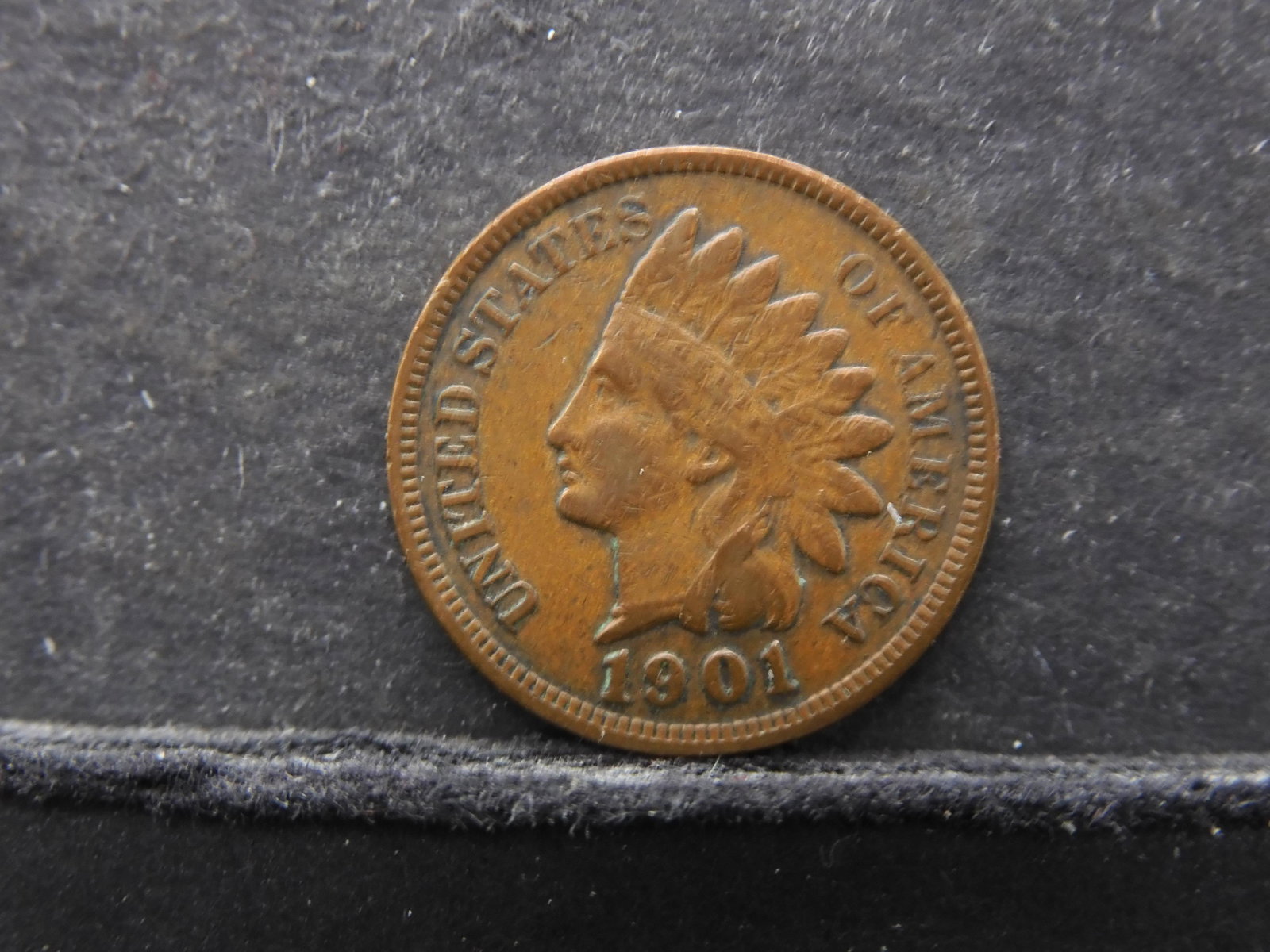 ERROR â€“ 1901 Indian Head  1 Cent â€“ Rim Cud Reverse (1 of 2)