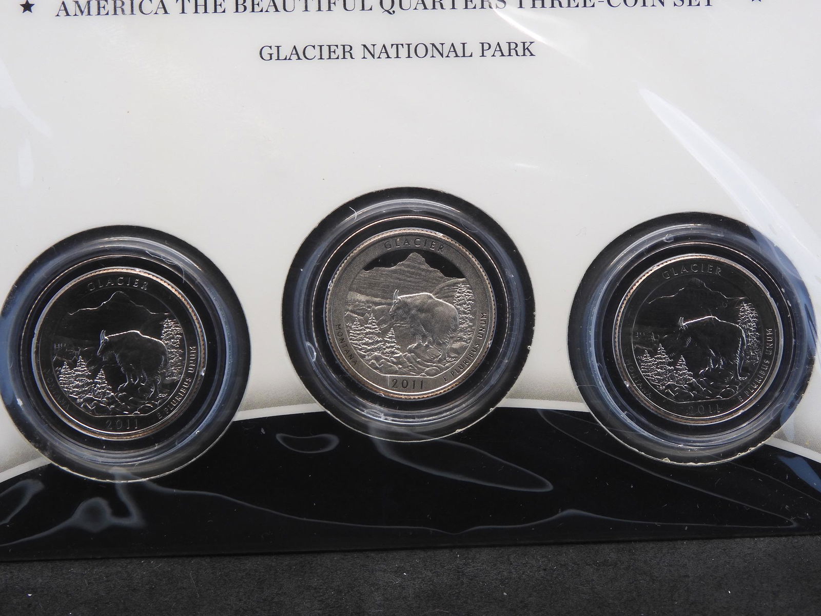 2011 P S & D America the Beautiful Glacier Nat'l Park (1 of 3)