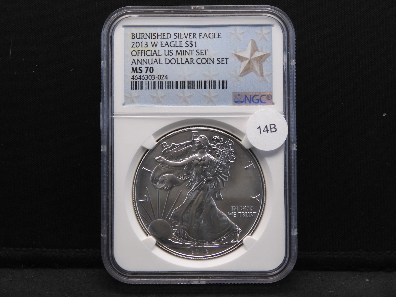2013-W Burnished American Silver Eagle NGC MS 70 (1 of 4)