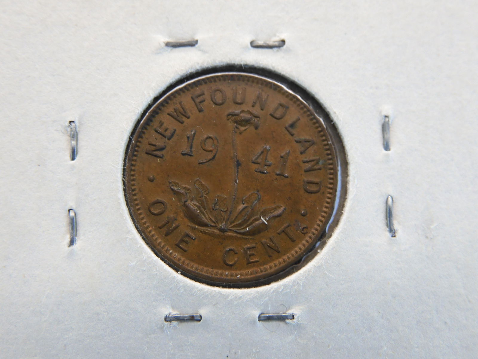 1941-C Newfoundland 1c.  XF. (1 of 3)