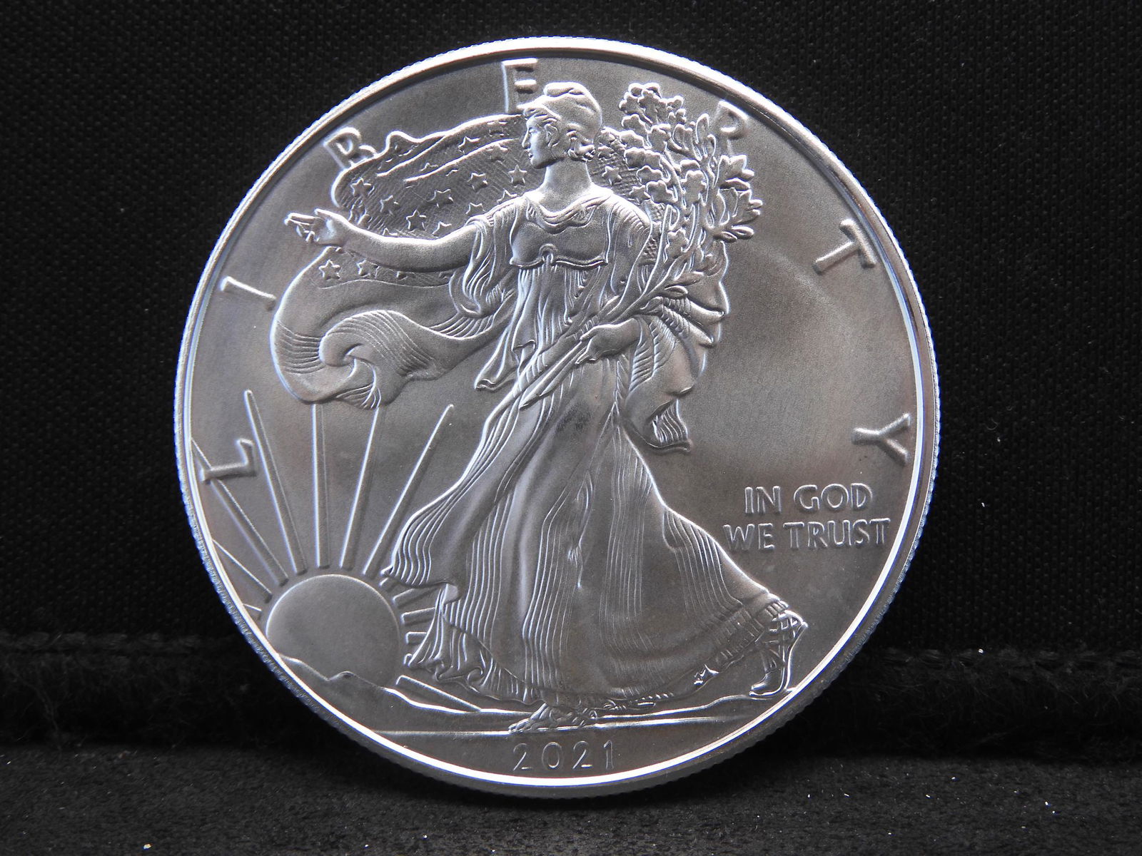 2021 Silver Eagle Type 1 - No longer in production - (1 of 2)