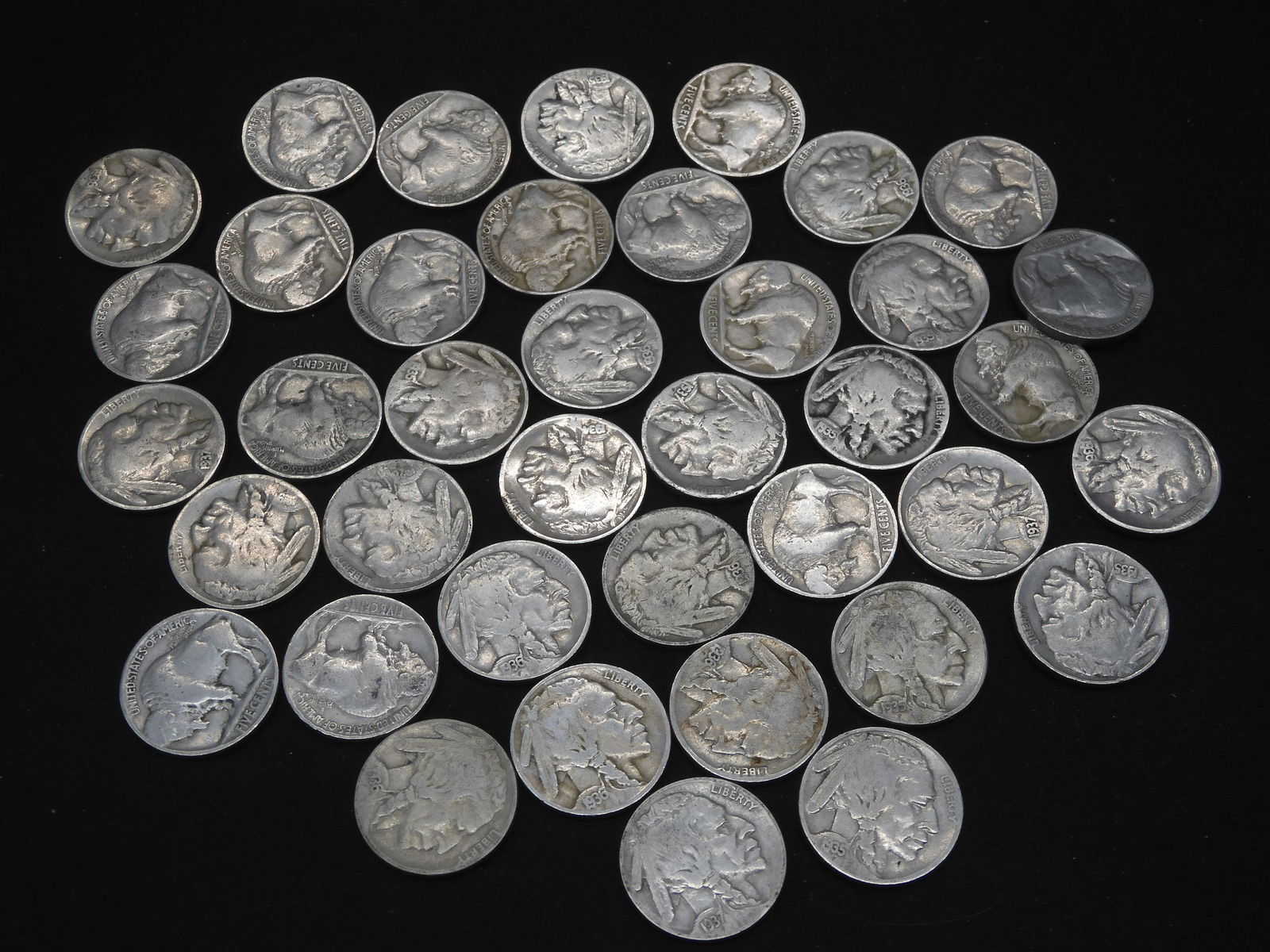 39 Buffalo Nickels (1 of 6)