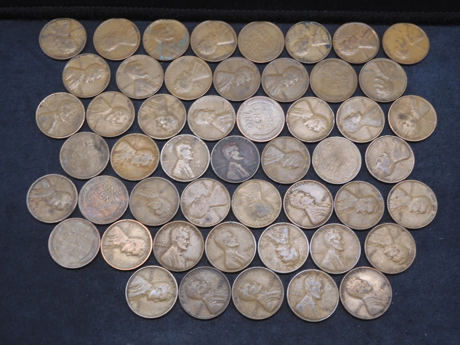 50 1930 Lincoln Head Wheat Cents. (1 of 3)