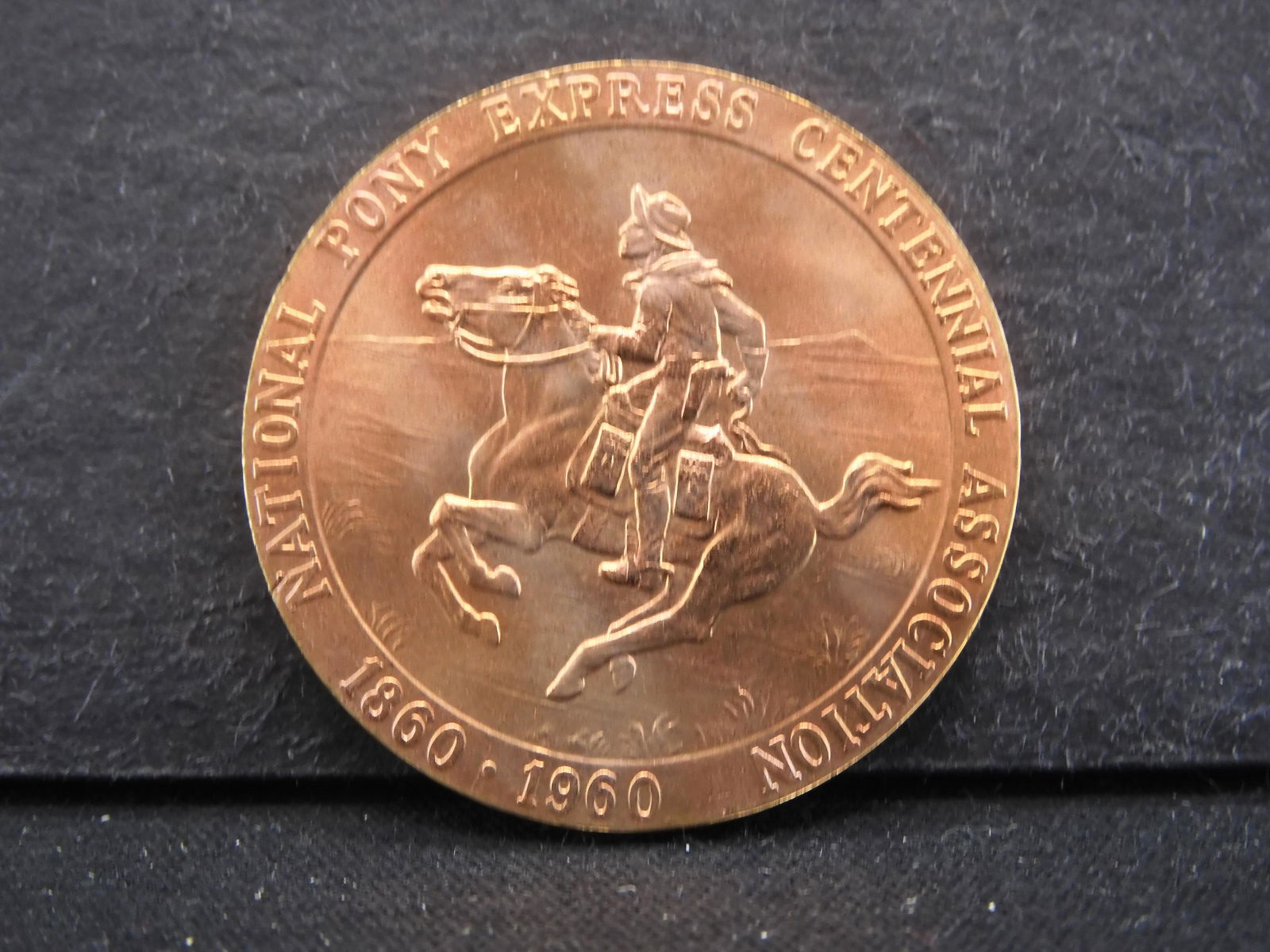 You Are Bidding on This (1 of 2)