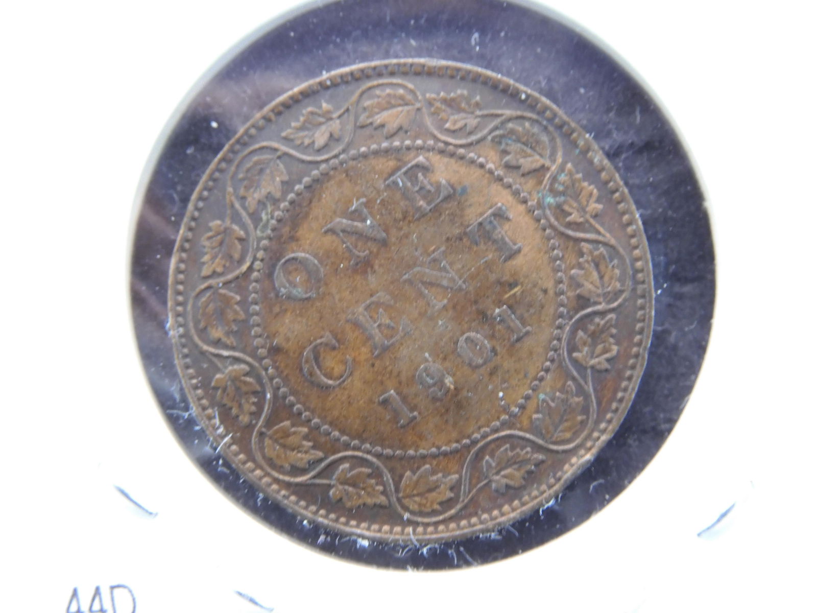1901 Canada One Cent (1 of 3)