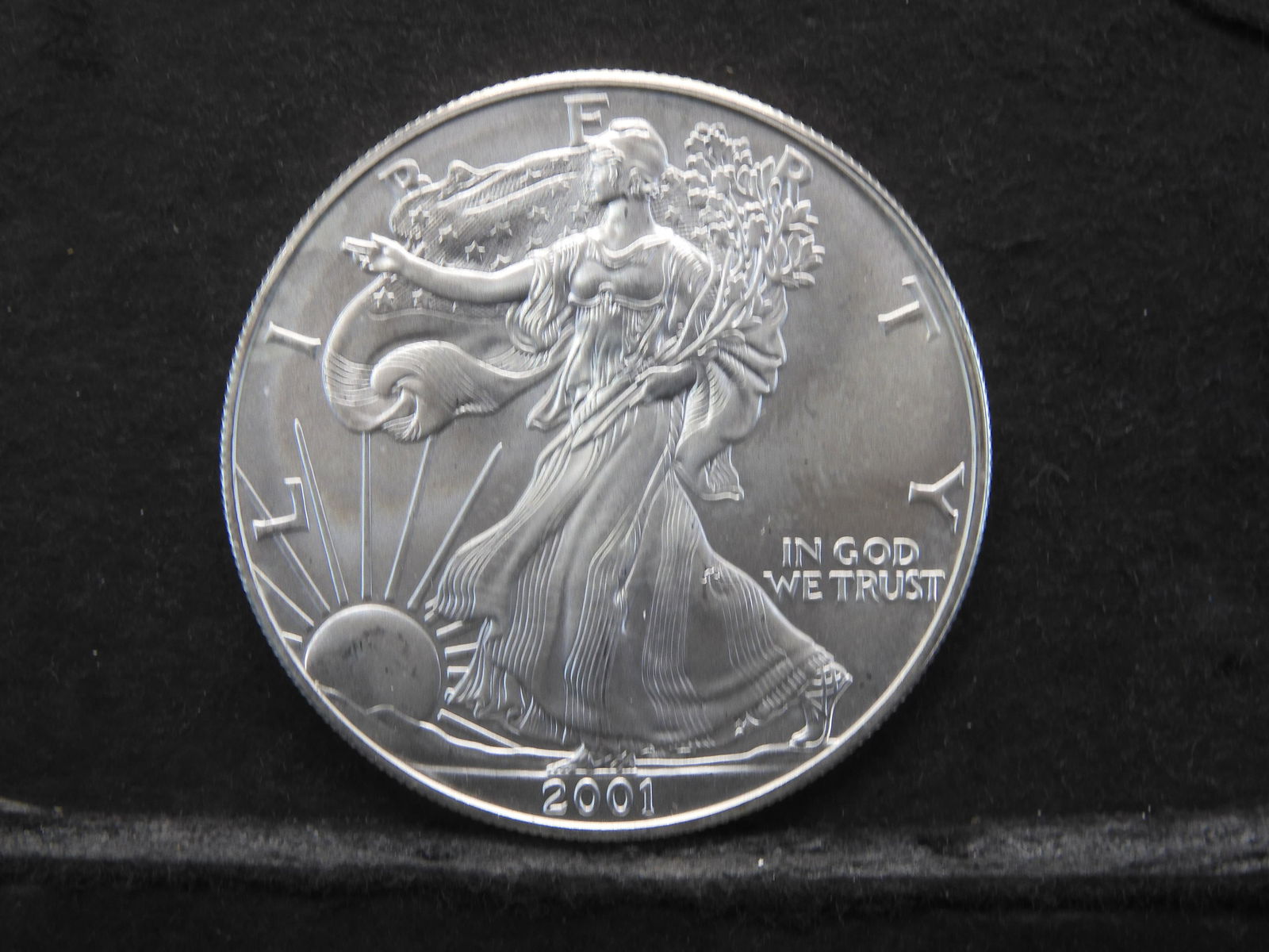 2001 Unc. American Silver Eagle One Oz. Fine Silver (1 of 2)