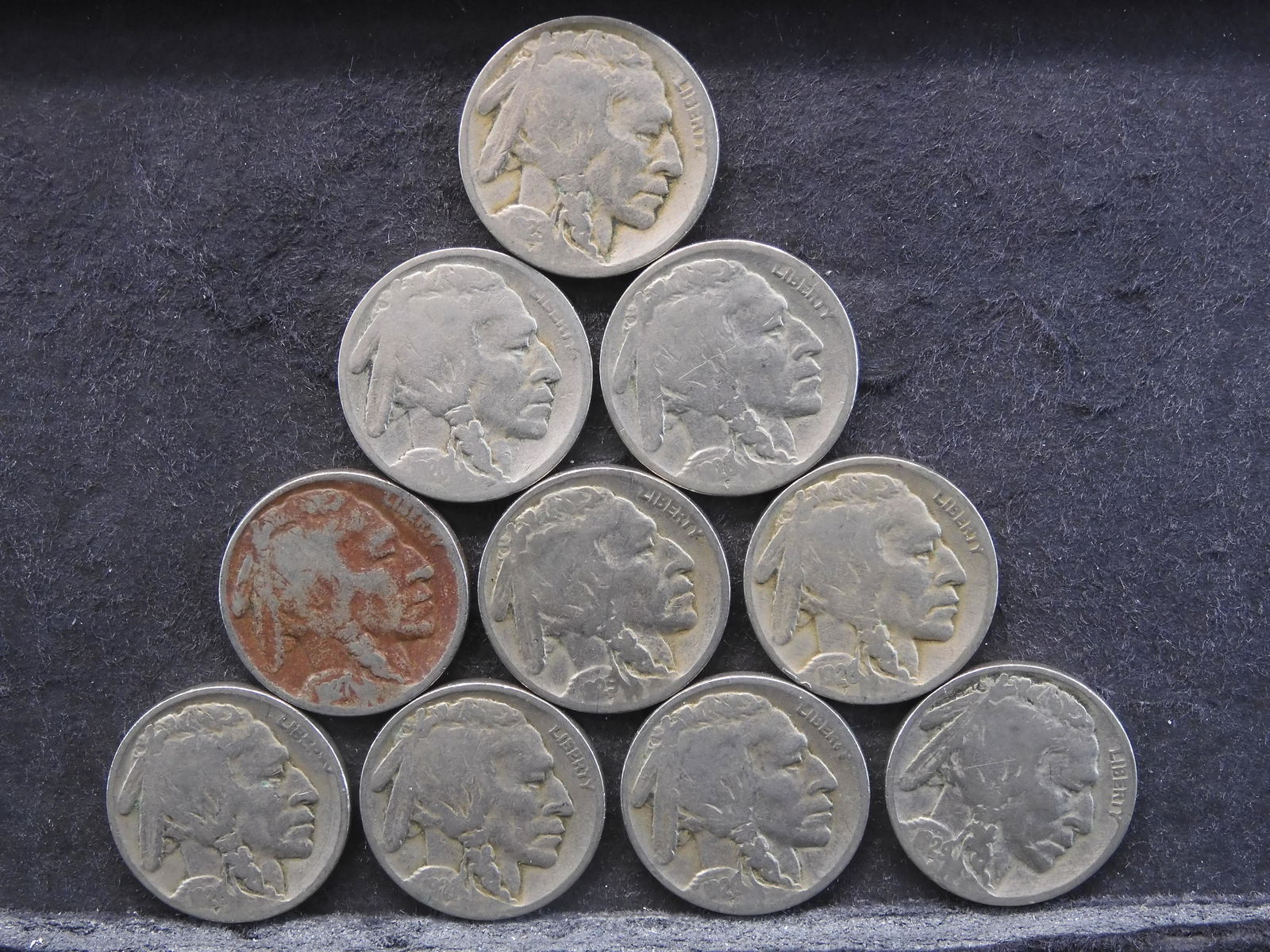 1920-1929 Buffalo Nickels (10 Coins Total) (1 of 2)
