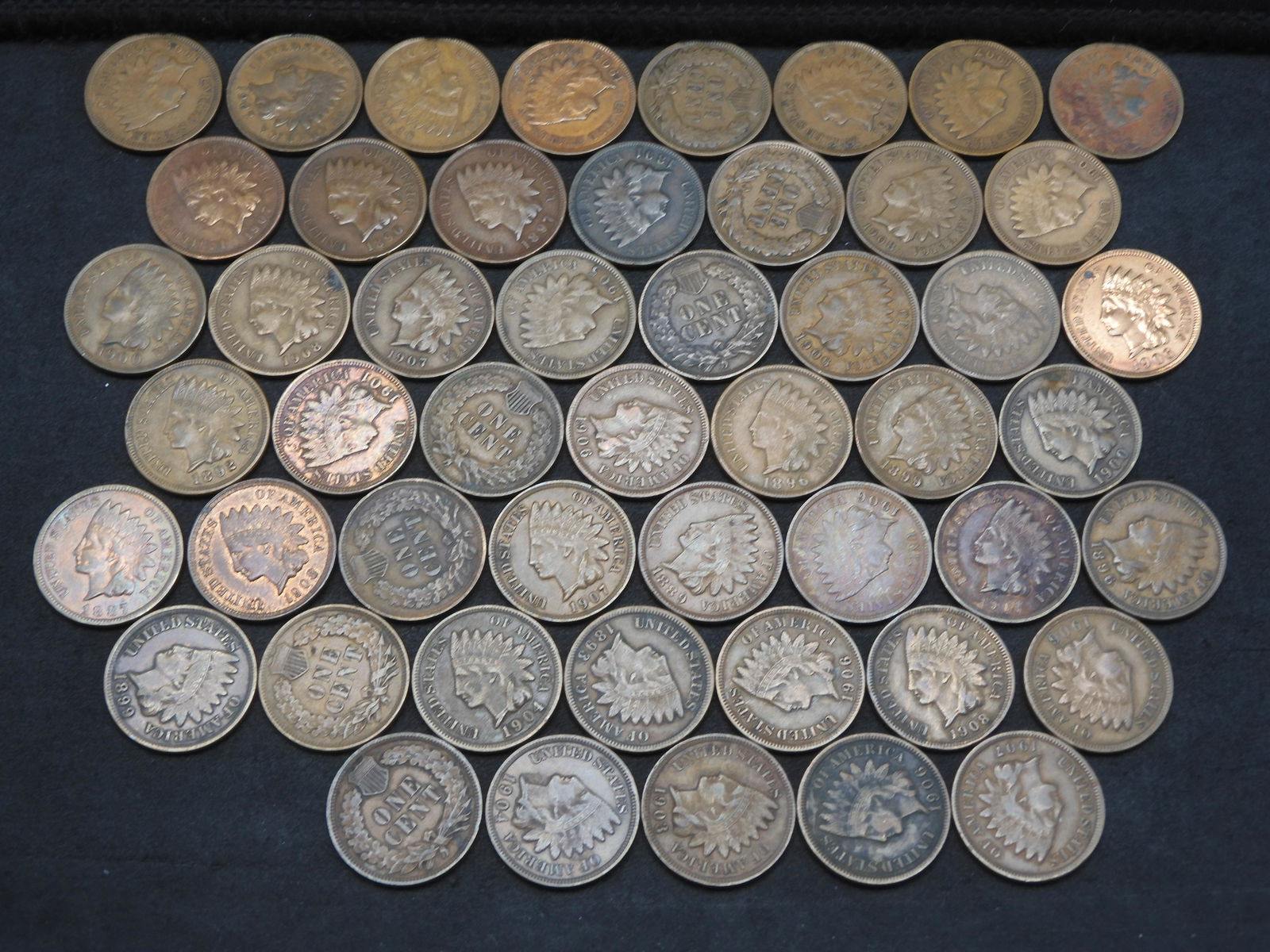 50 Mixed Date Indian Head Cents.  All Fine+. (1 of 3)