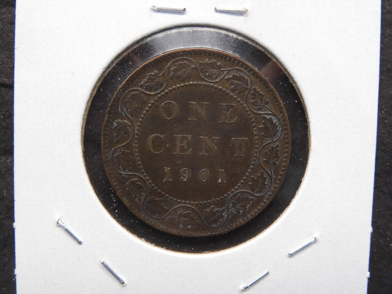 1901 Canada 1c.  XF+. (1 of 3)