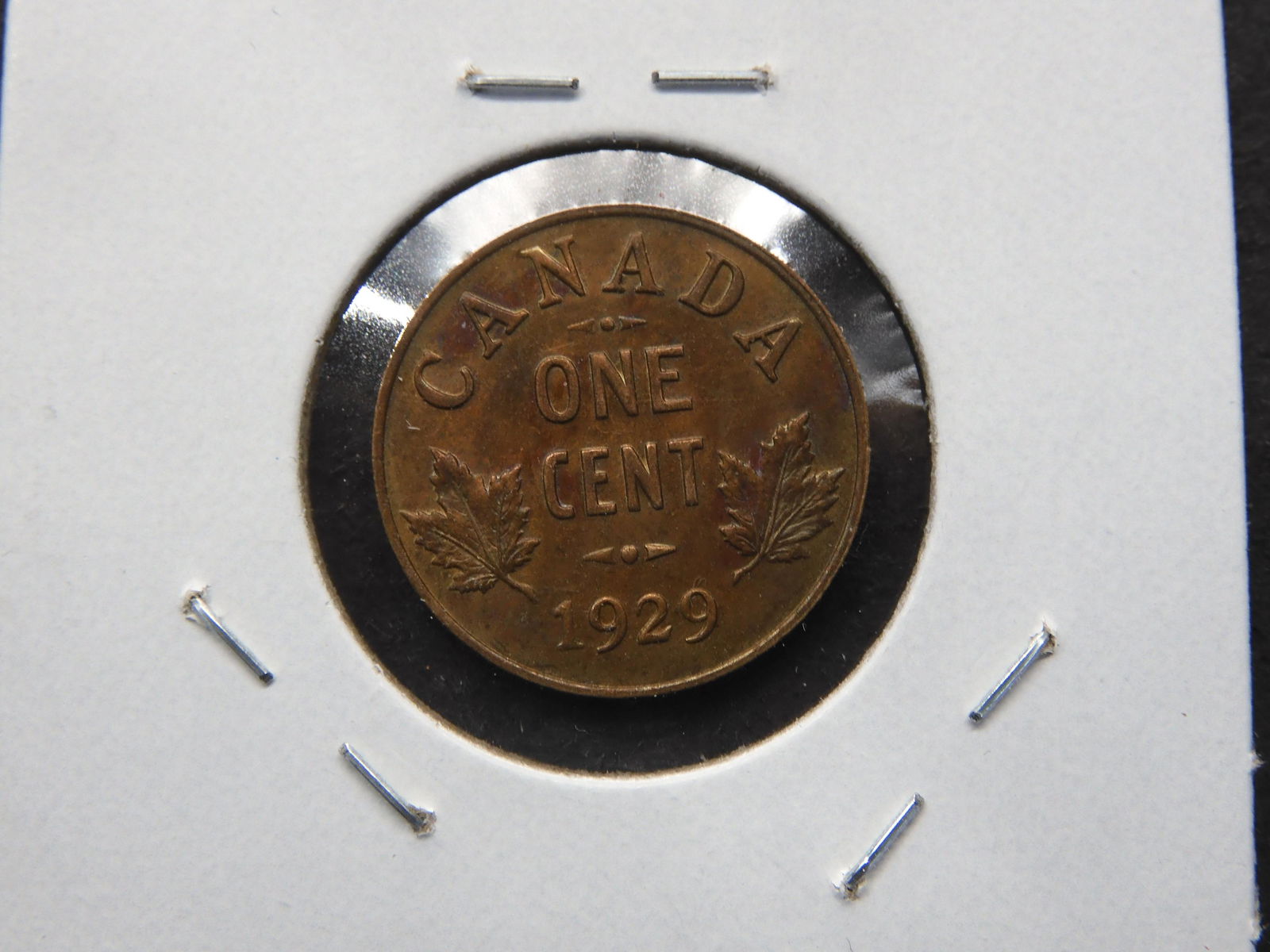 1929 Canada 1c.  Toned UNC. (1 of 3)