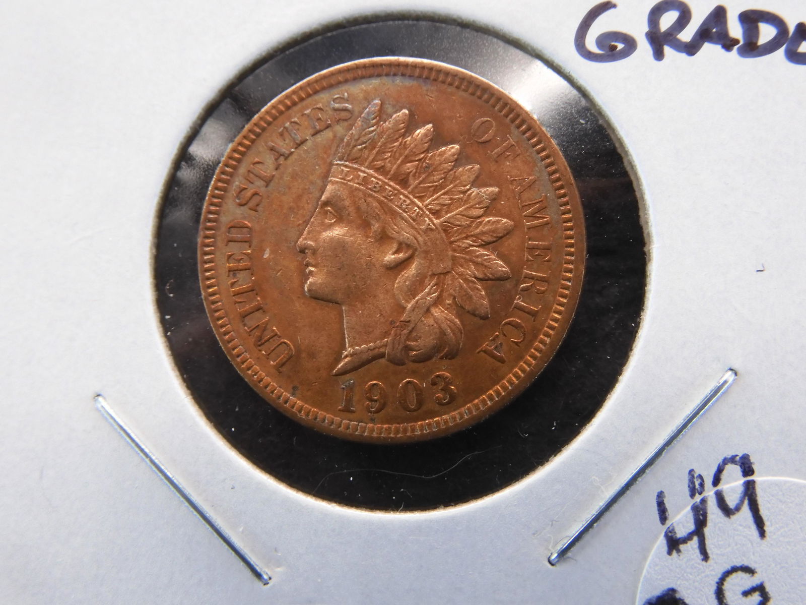 1903 Indian 1c.  High Grade. (1 of 3)