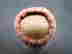 item-121738122=3