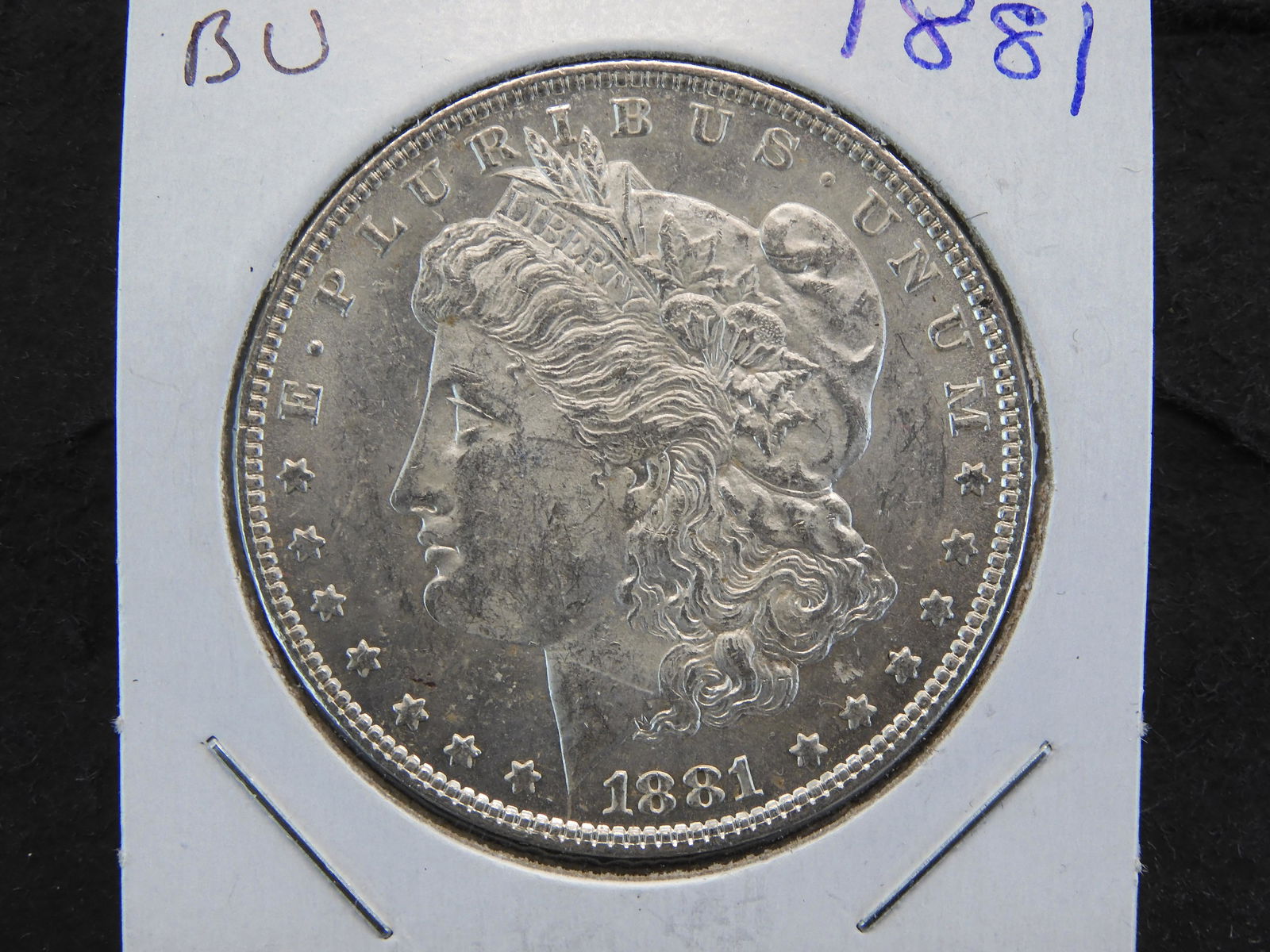 1881 Morgan Dollar (1 of 3)