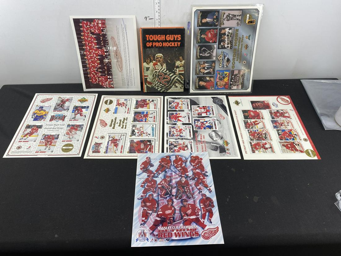 Misc Hockey Lot - UDA Lithos, Red Wings Team Picture, (1 of 5)