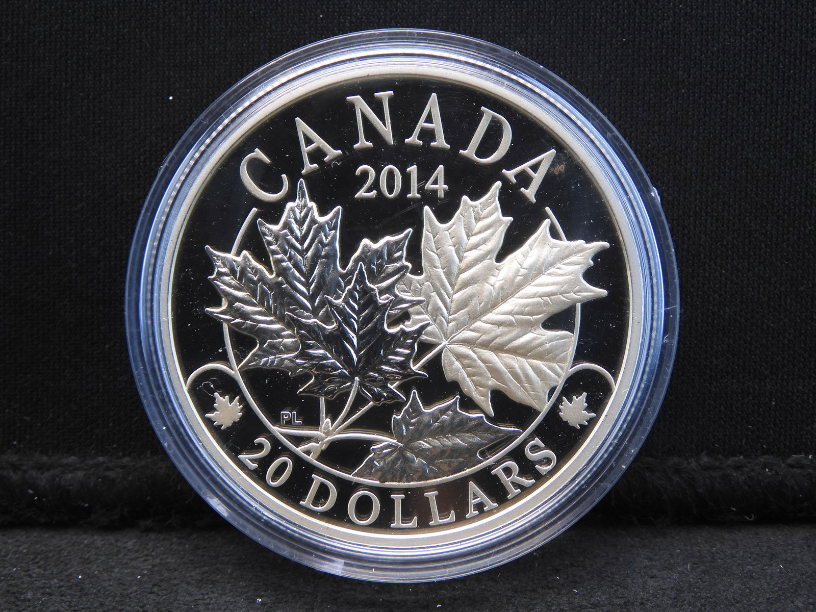 2014 Canada $20 .9999 silver coin.  Two Maple Leaves. (1 of 2)