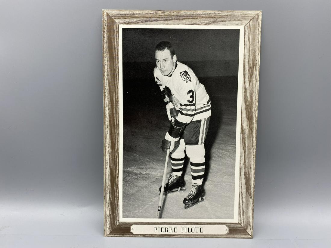 1964-67 NHL Hockey Bee Hive Premium Chicago Blackhawks: 1964-67 NHL Hockey Bee Hive Premium Chicago Blackhawks Pierre Pilote Photo